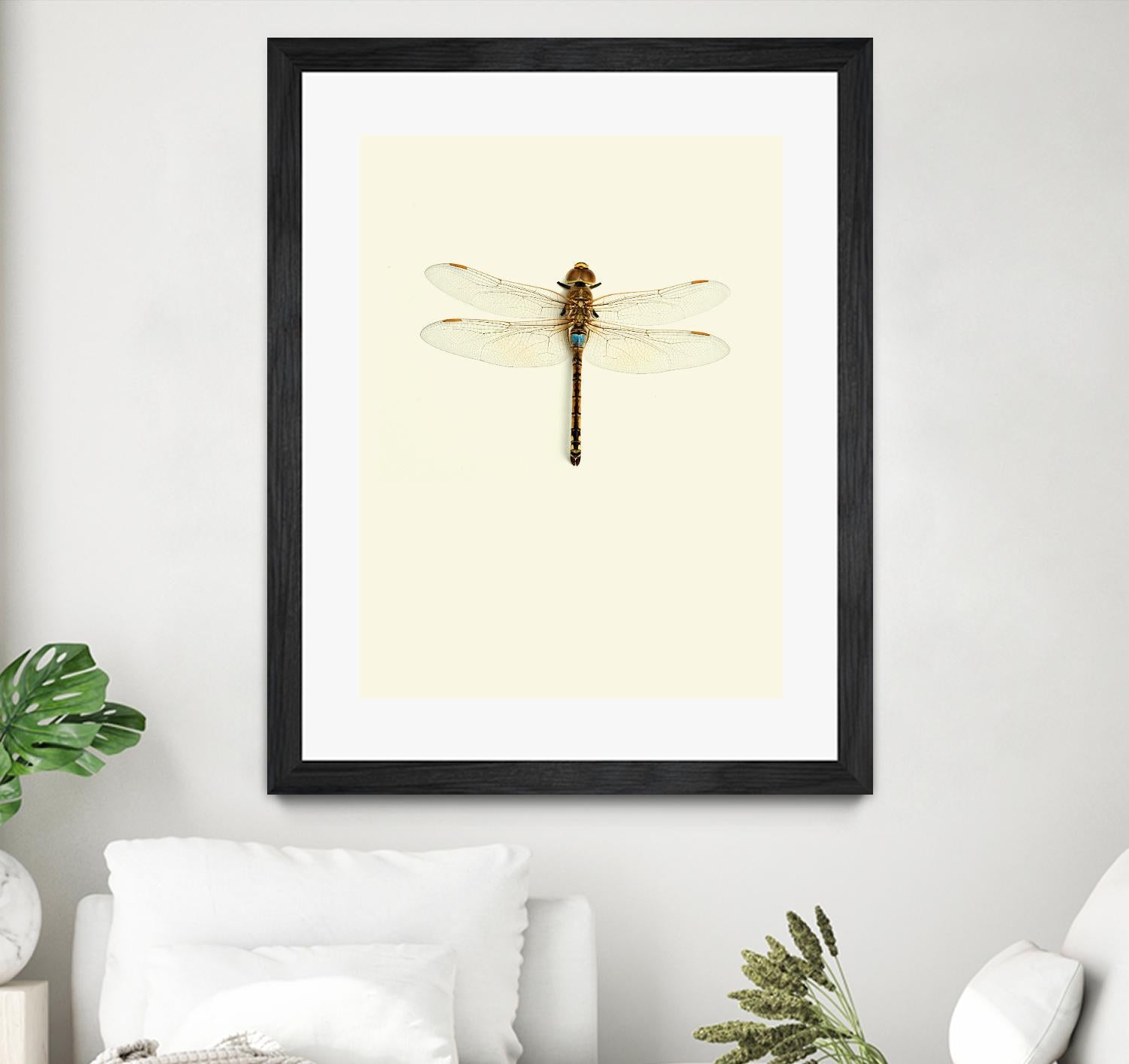 Dragonfly I by Incado on GIANT ART - multicolor animals; floral/still life