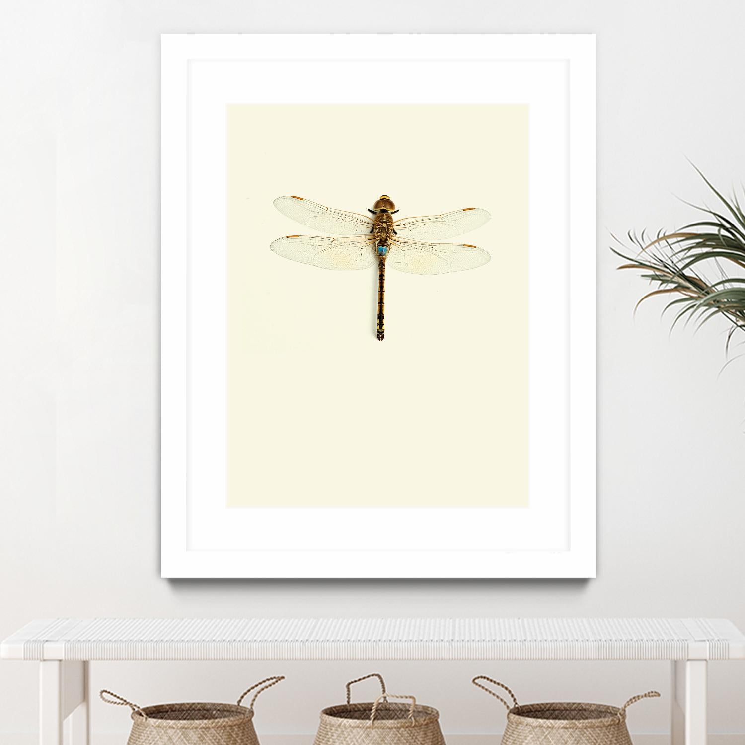 Dragonfly I by Incado on GIANT ART - multicolor animals; floral/still life
