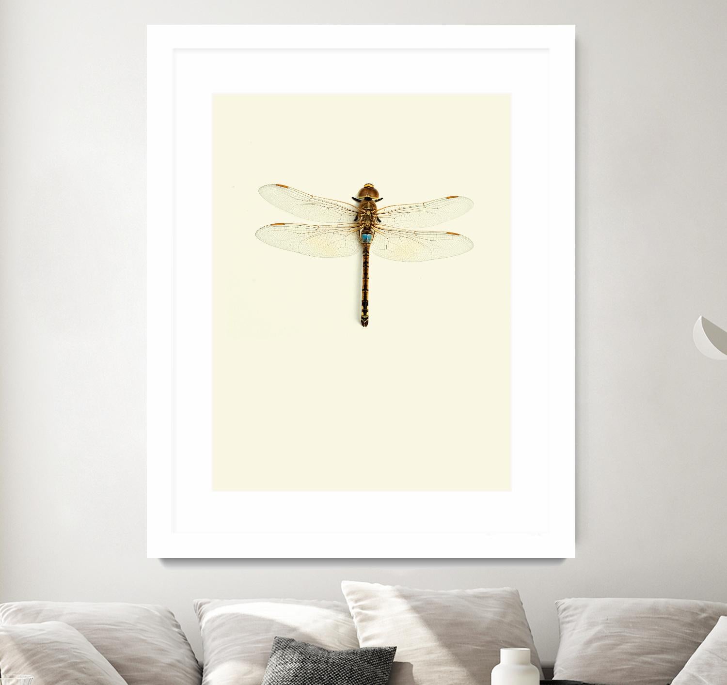 Dragonfly I by Incado on GIANT ART - multicolor animals; floral/still life