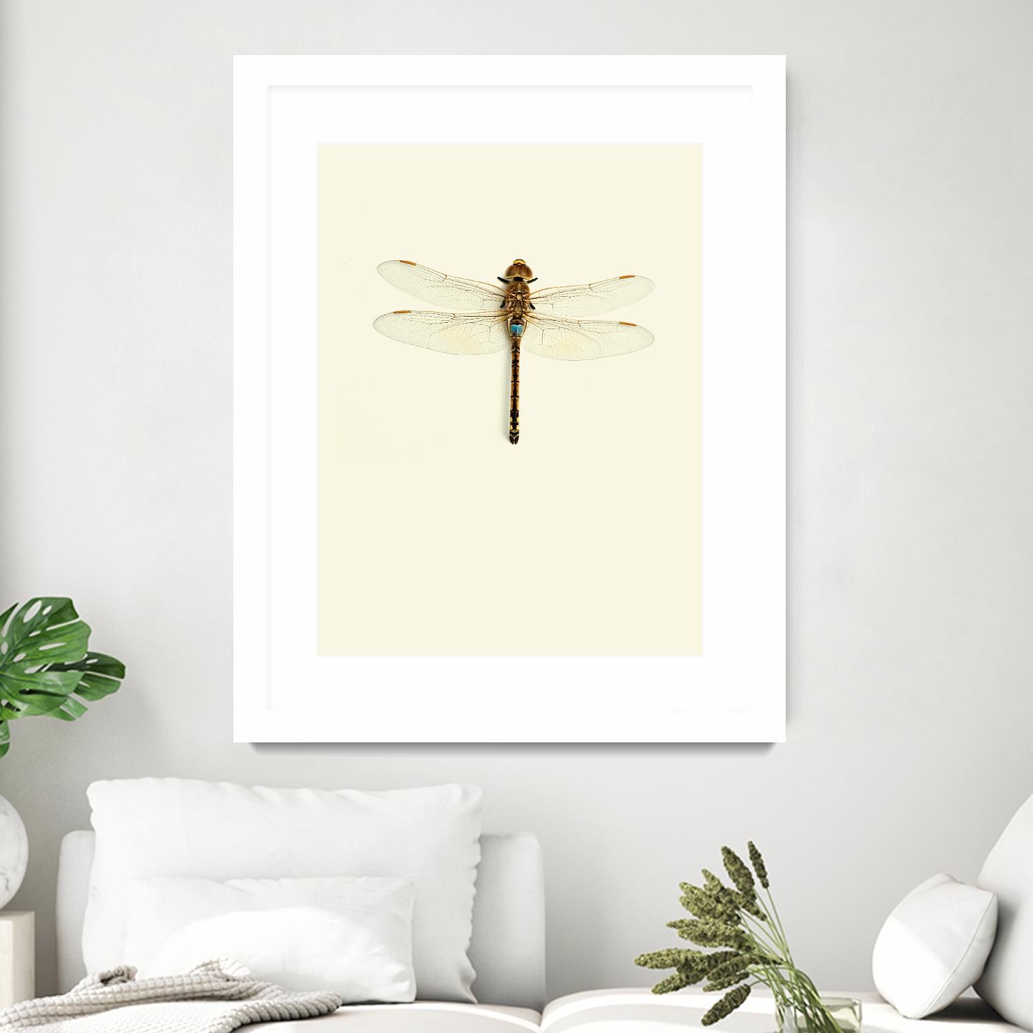 Dragonfly I by Incado on GIANT ART - multicolor animals; floral/still life