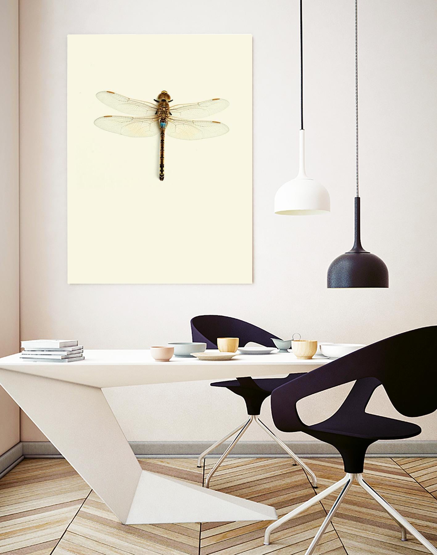 Dragonfly I by Incado on GIANT ART - multicolor animals; floral/still life