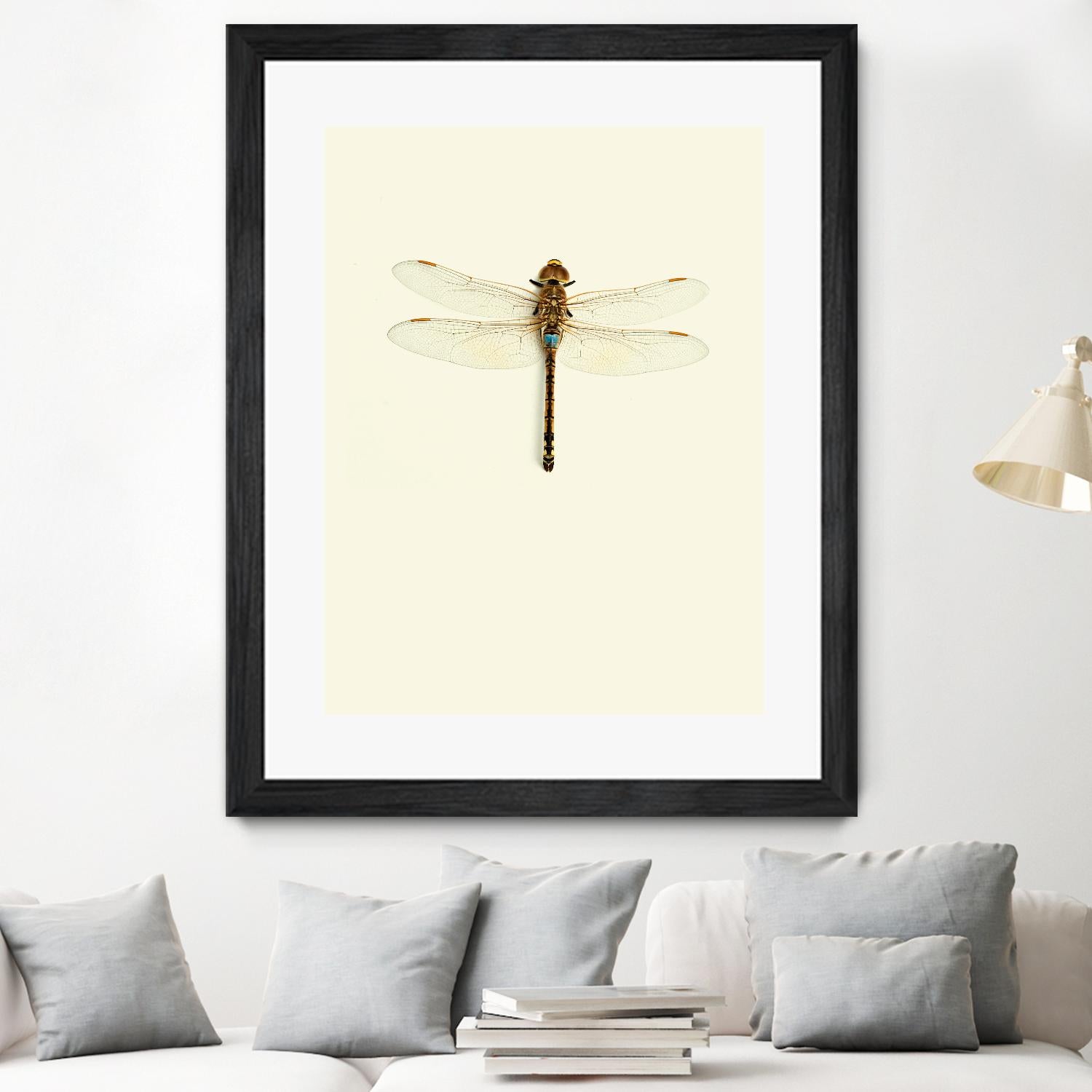 Dragonfly I by Incado on GIANT ART - multicolor animals; floral/still life