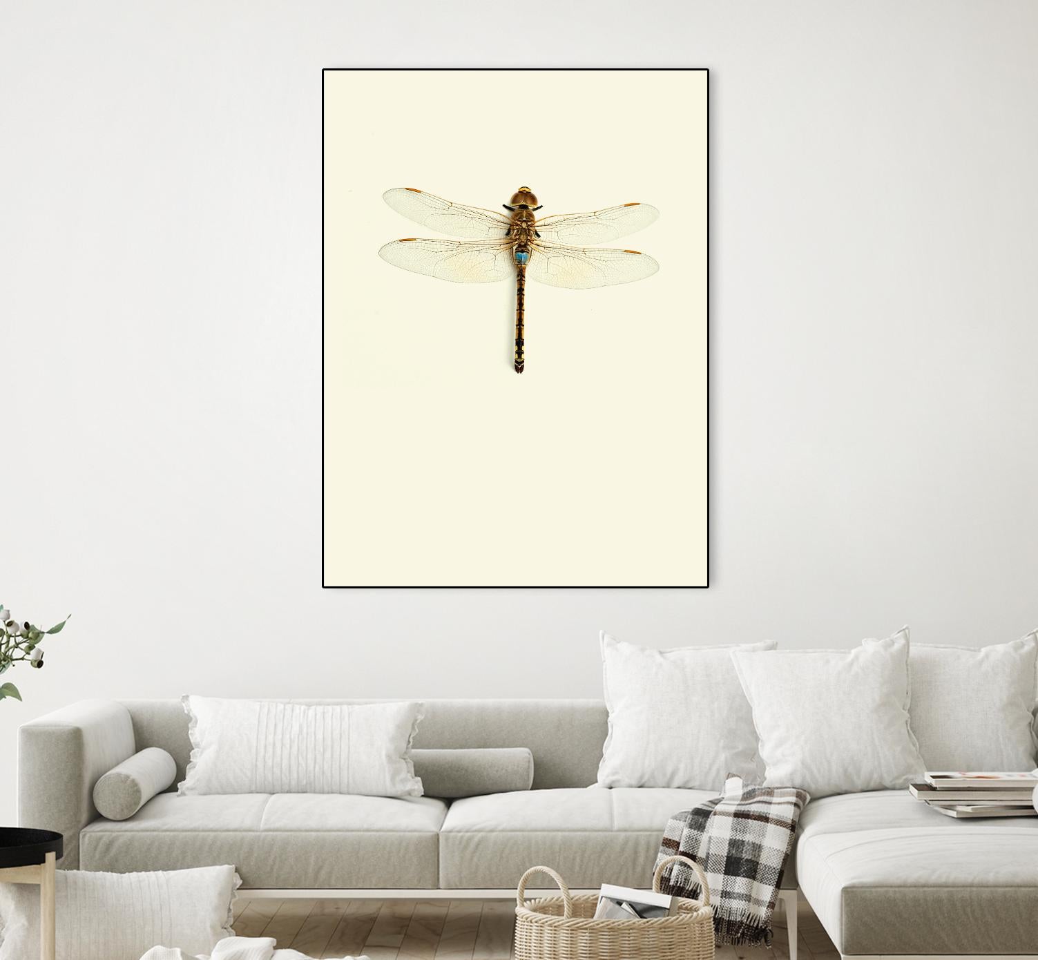 Dragonfly I by Incado on GIANT ART - multicolor animals; floral/still life
