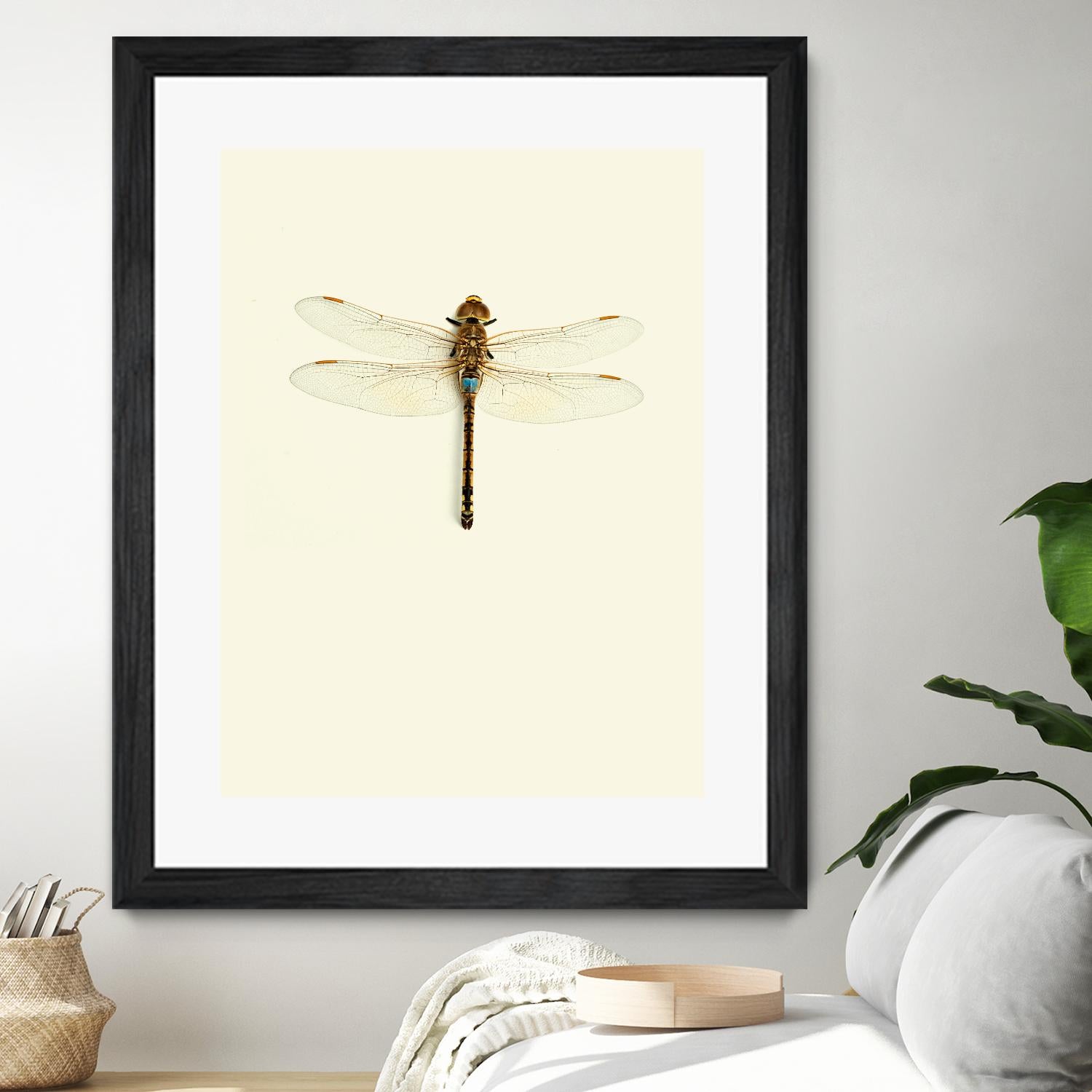 Dragonfly I by Incado on GIANT ART - multicolor animals; floral/still life