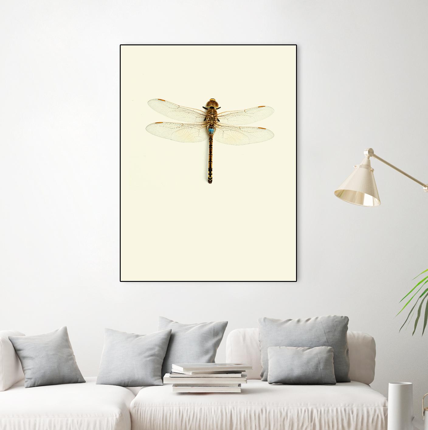 Dragonfly I by Incado on GIANT ART - multicolor animals; floral/still life