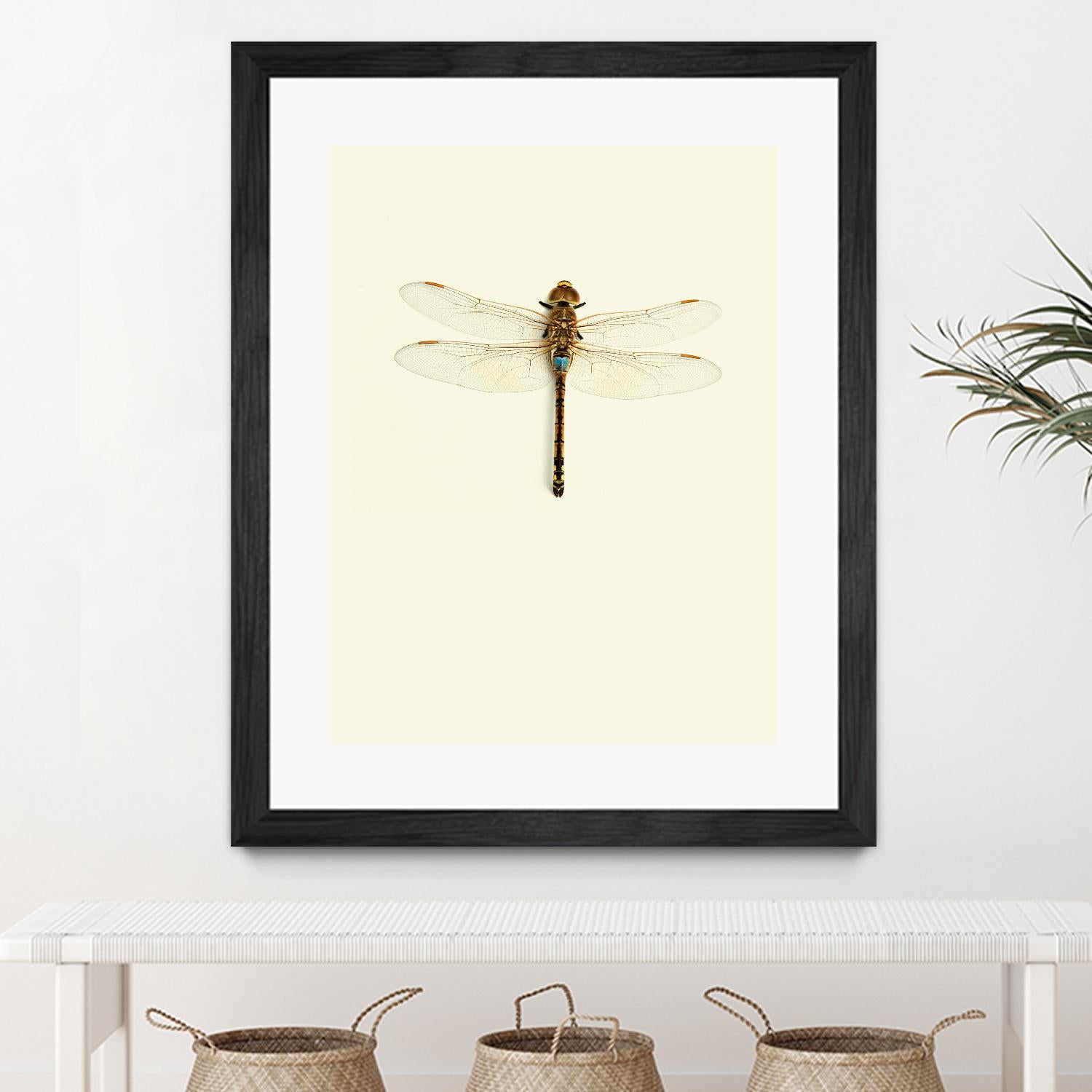Dragonfly I by Incado on GIANT ART - multicolor animals; floral/still life