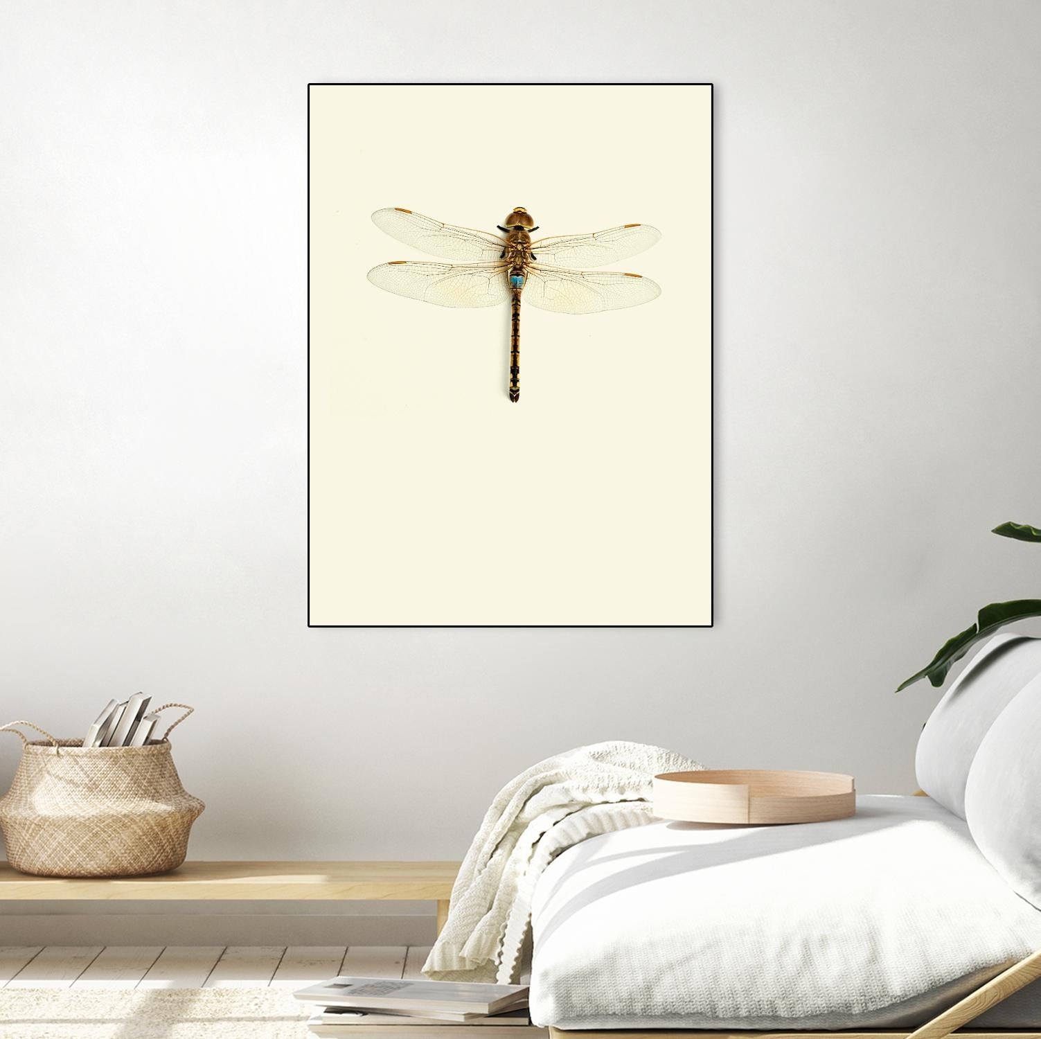 Dragonfly I by Incado on GIANT ART - multicolor animals; floral/still life