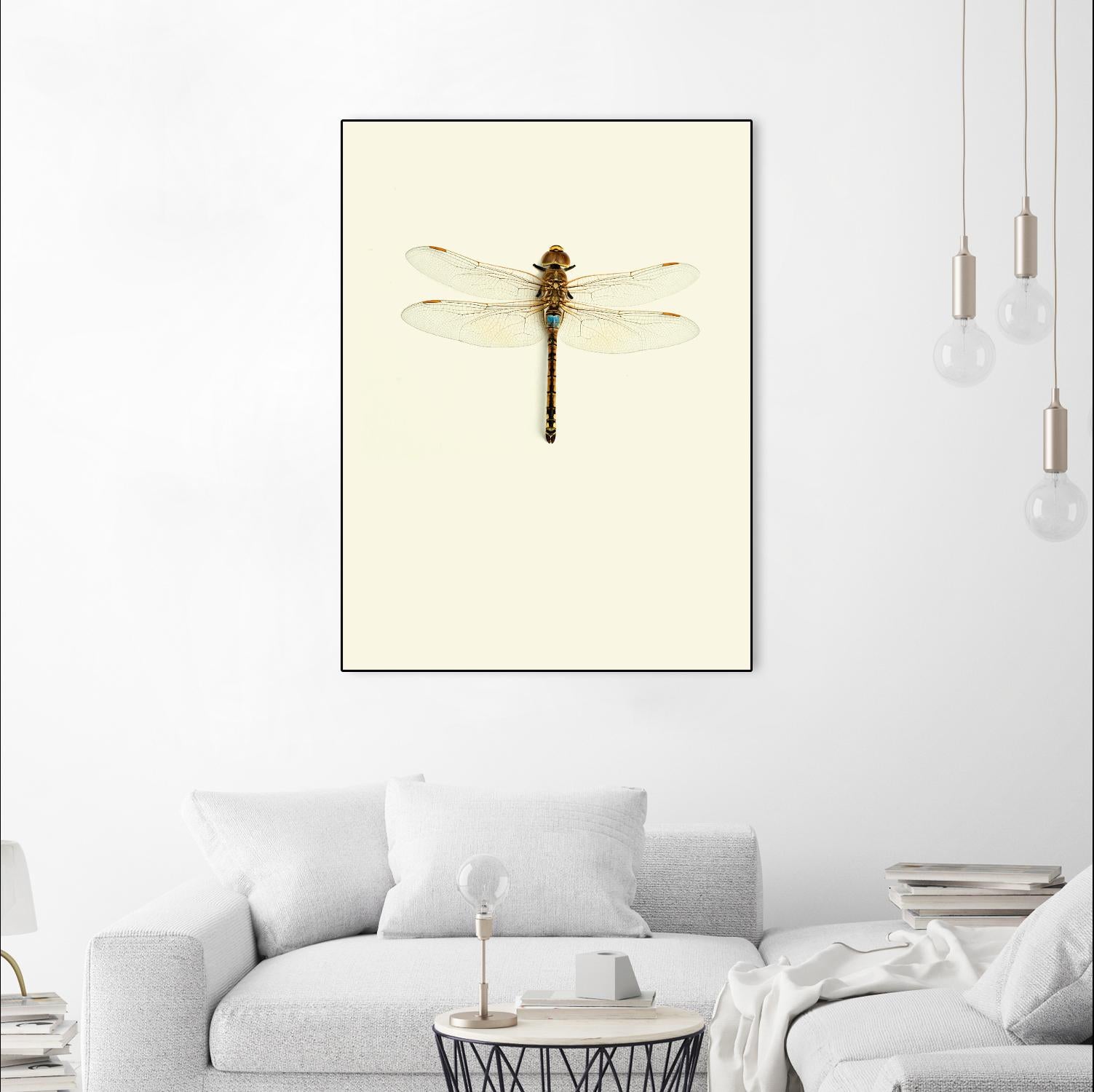 Dragonfly I by Incado on GIANT ART - multicolor animals; floral/still life