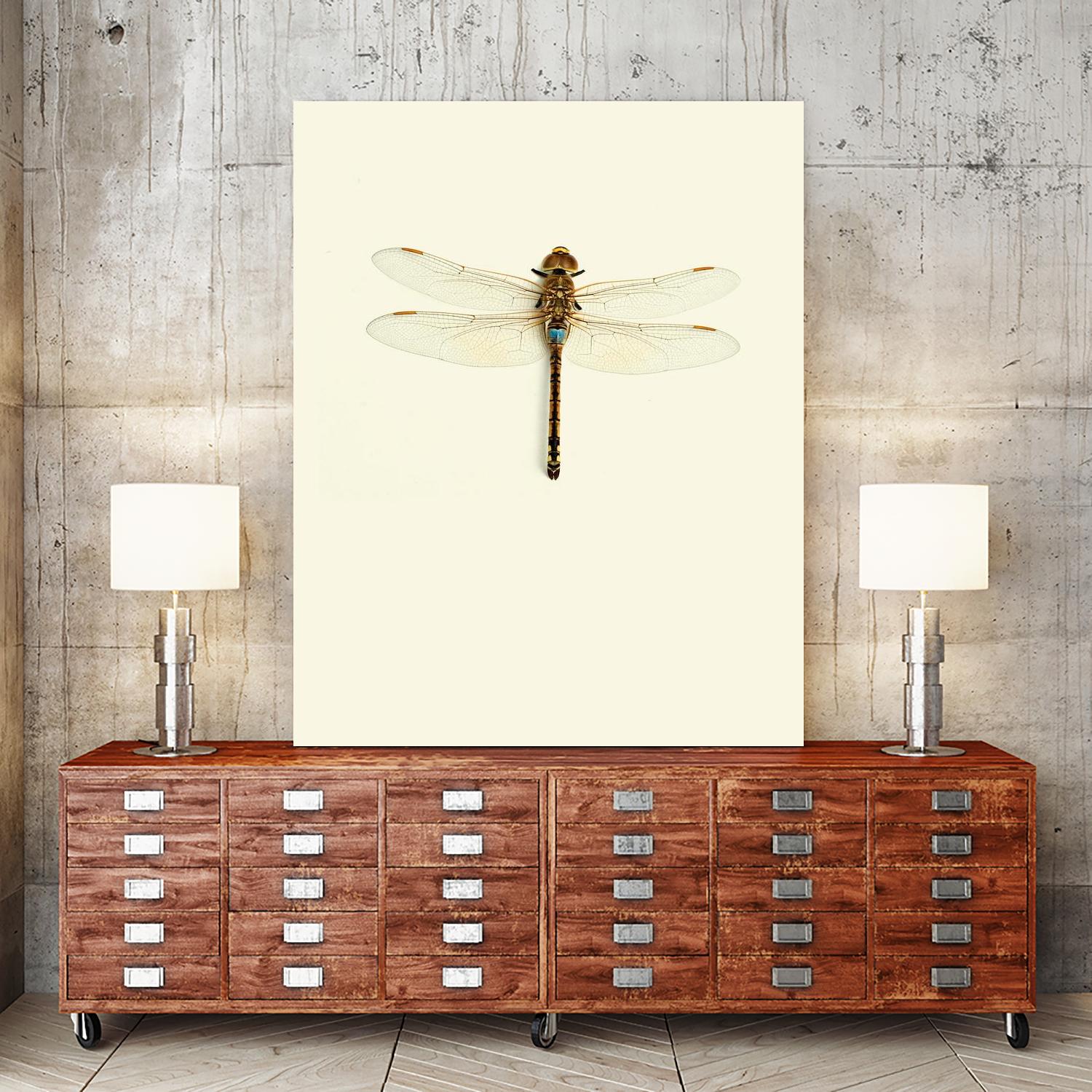 Dragonfly I by Incado on GIANT ART - multicolor animals; floral/still life