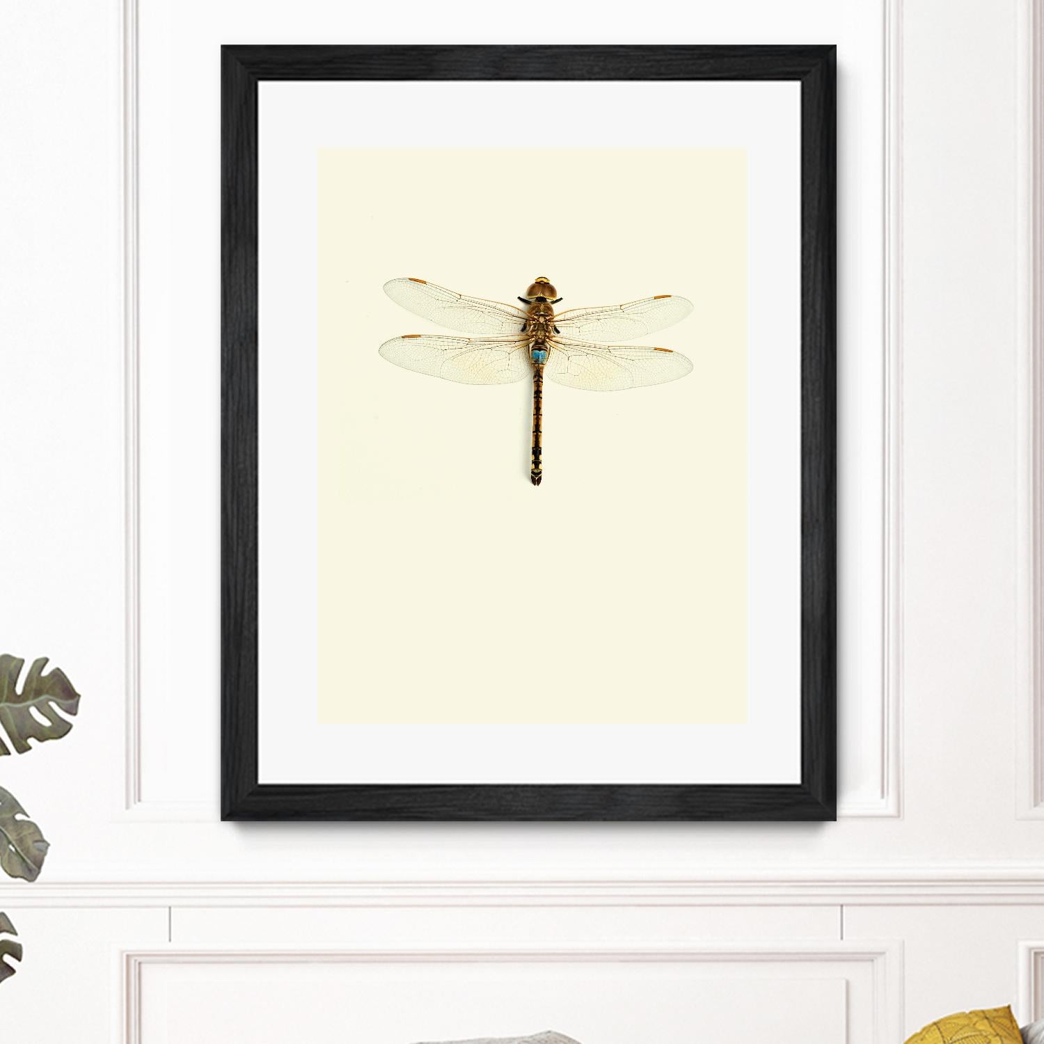 Dragonfly I by Incado on GIANT ART - multicolor animals; floral/still life