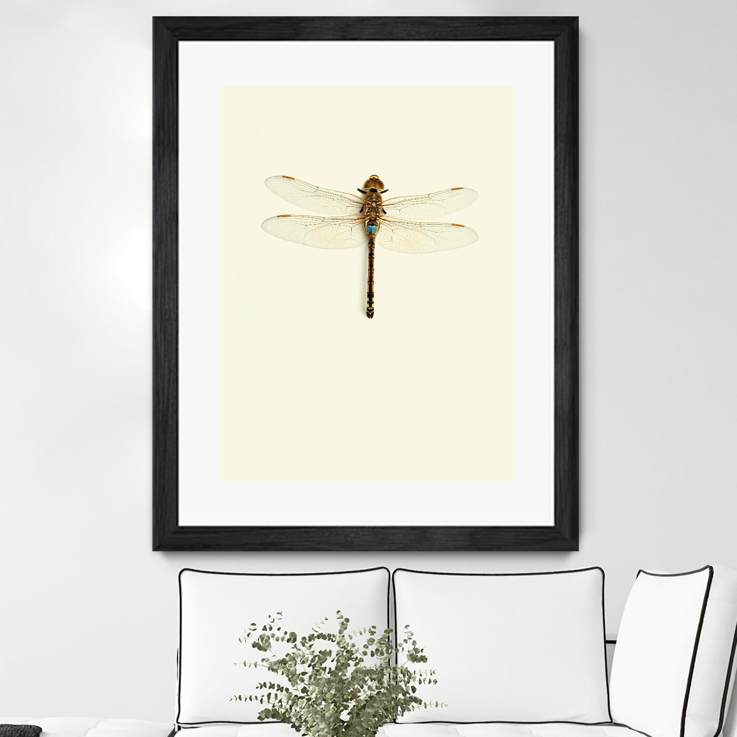 Dragonfly I by Incado on GIANT ART - multicolor animals; floral/still life