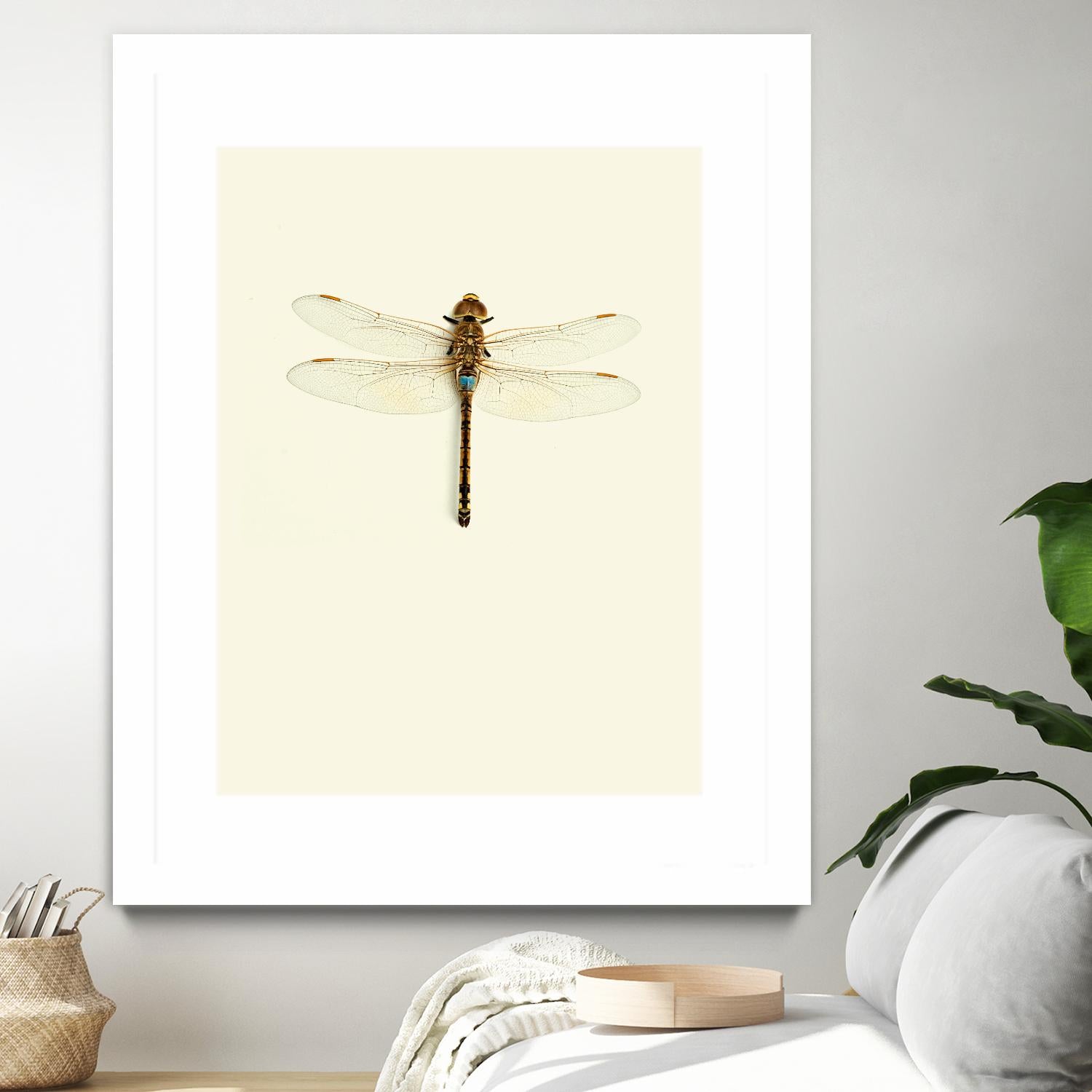 Dragonfly I by Incado on GIANT ART - multicolor animals; floral/still life