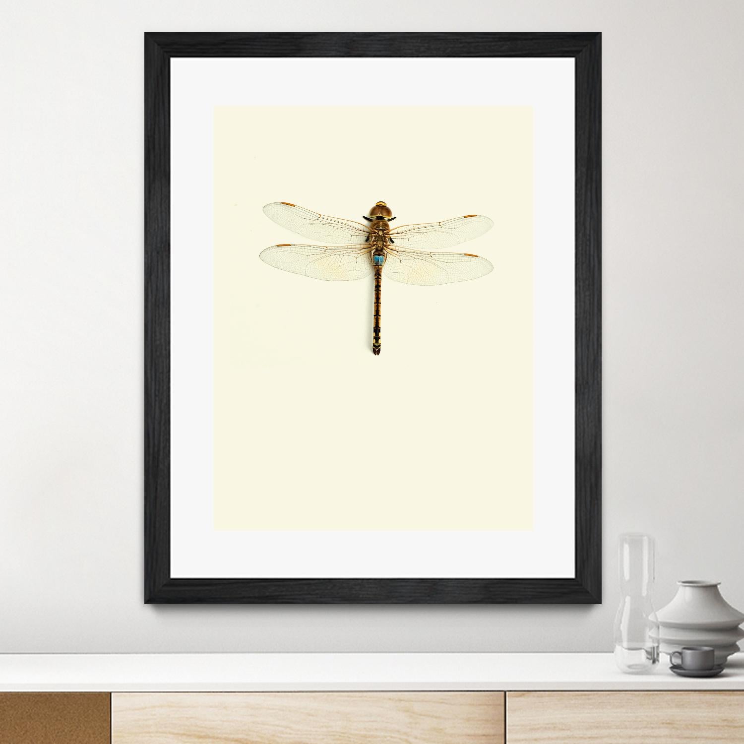 Dragonfly I by Incado on GIANT ART - multicolor animals; floral/still life