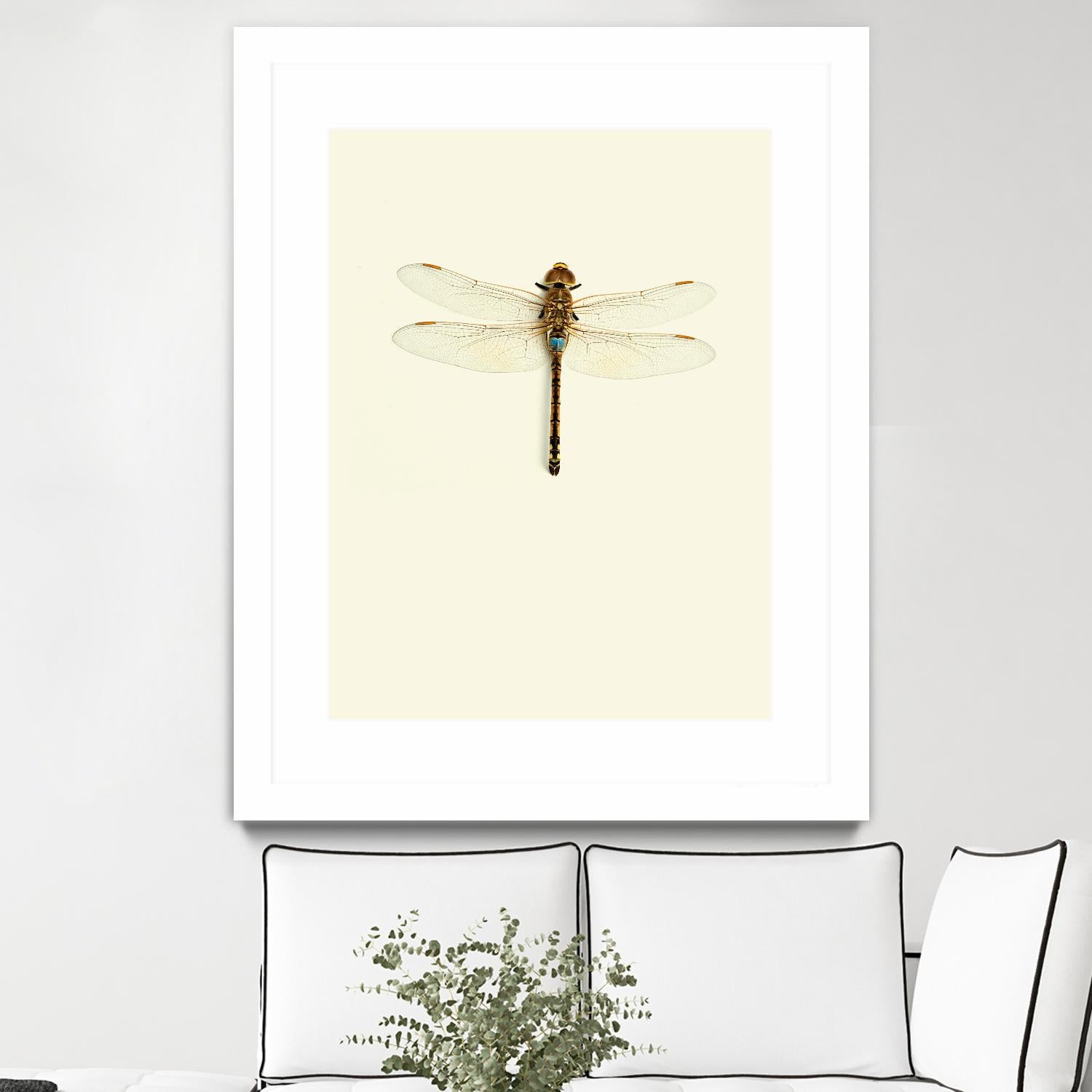 Dragonfly I by Incado on GIANT ART - multicolor animals; floral/still life