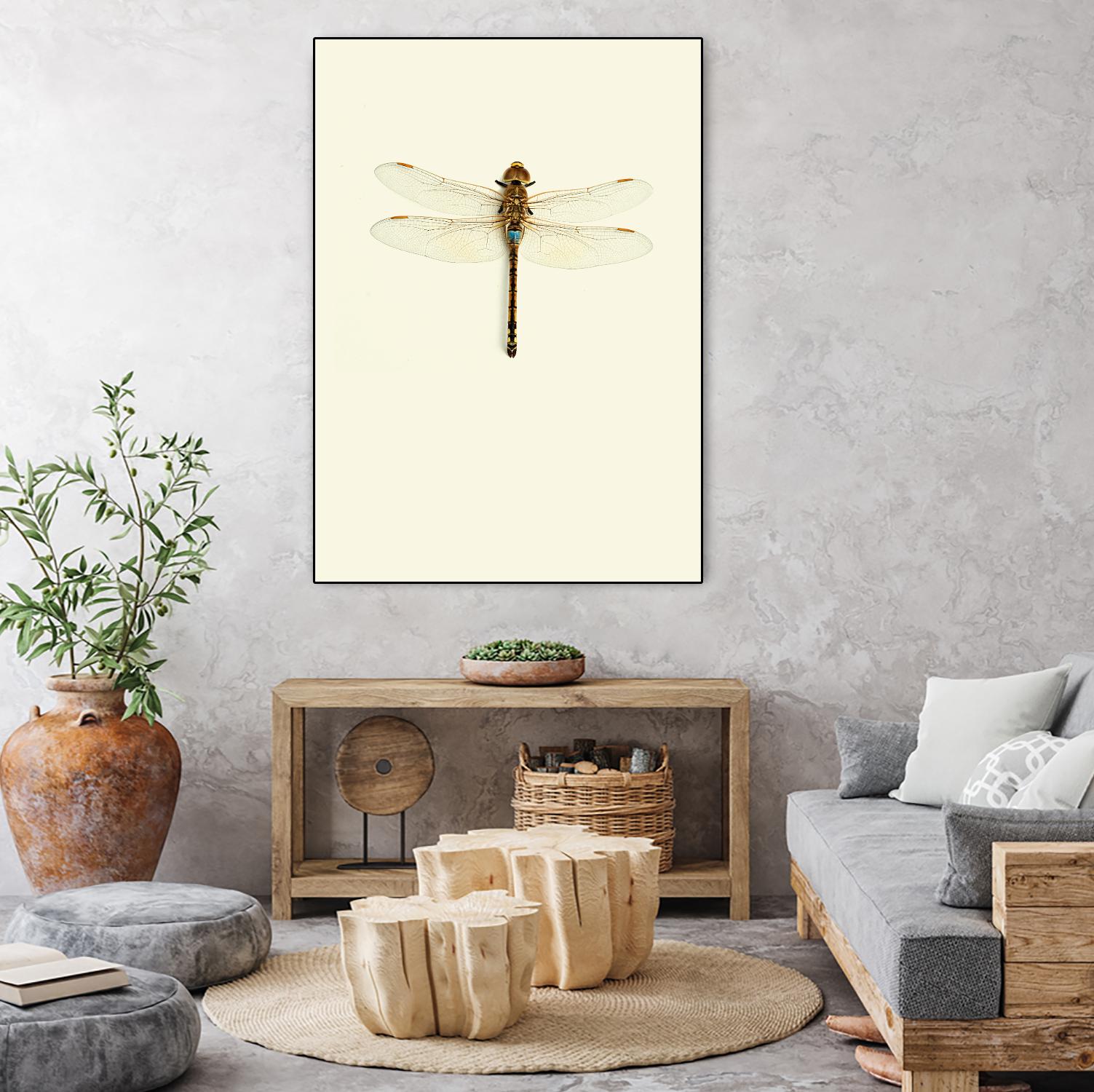 Dragonfly I by Incado on GIANT ART - multicolor animals; floral/still life