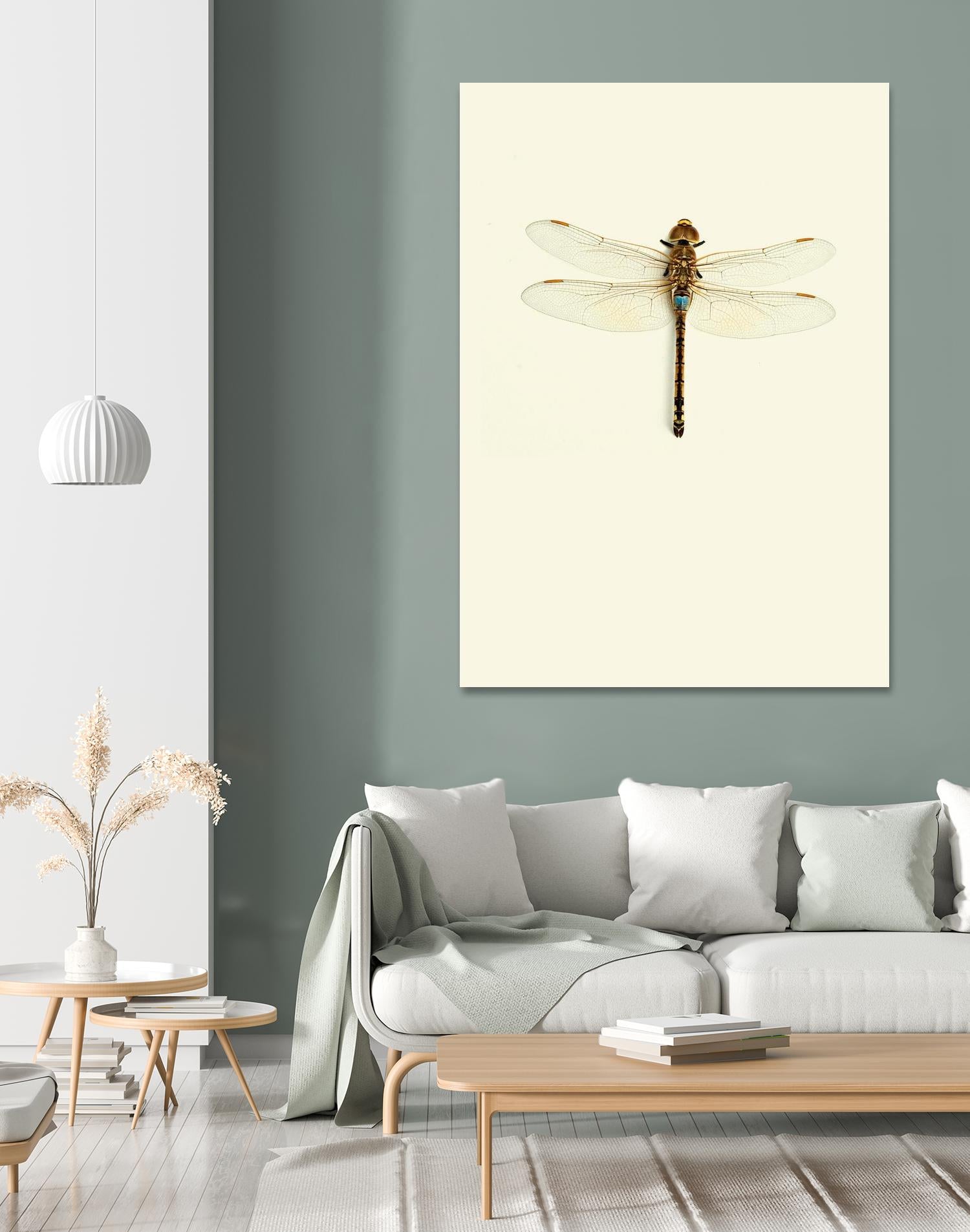 Dragonfly I by Incado on GIANT ART - multicolor animals; floral/still life