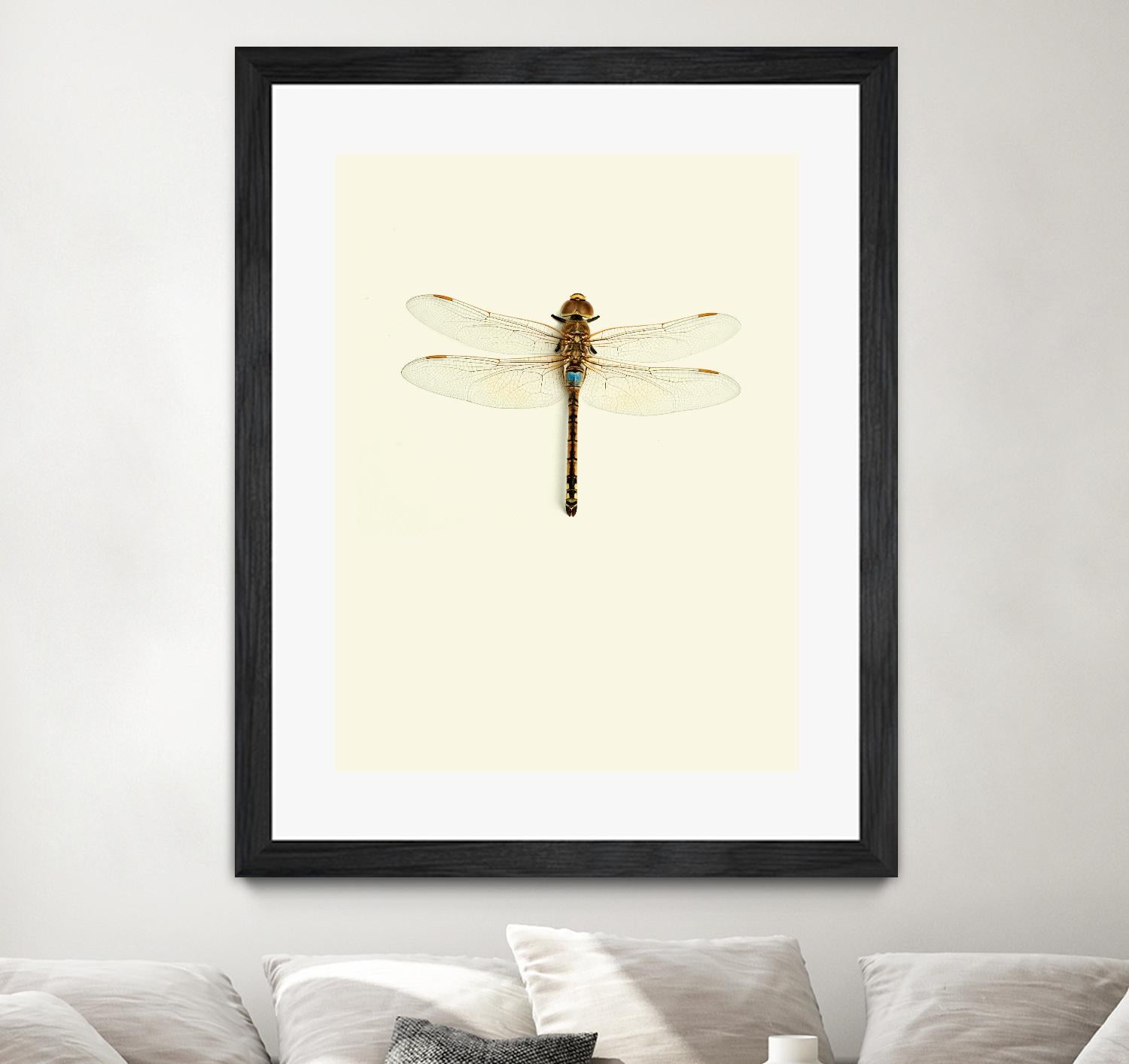 Dragonfly I by Incado on GIANT ART - multicolor animals; floral/still life