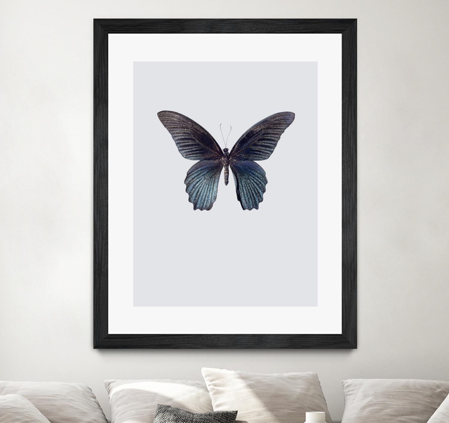 Great Mormon by Incado on GIANT ART - multicolor animals; floral/still life