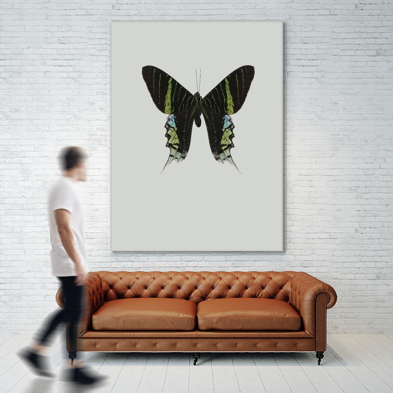 Green butterfly by Incado on GIANT ART - multicolor animals; floral/still life