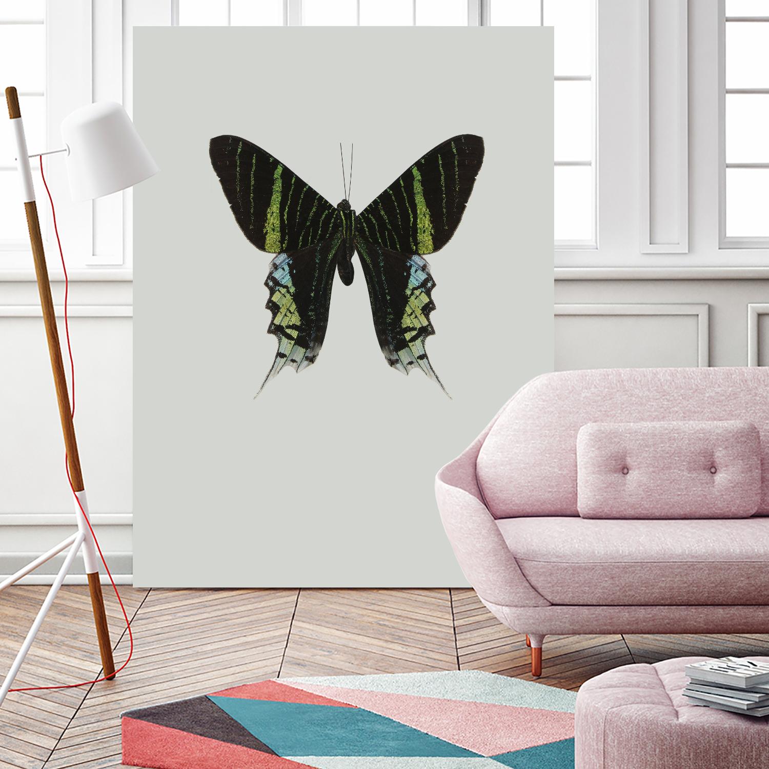 Green butterfly by Incado on GIANT ART - multicolor animals; floral/still life