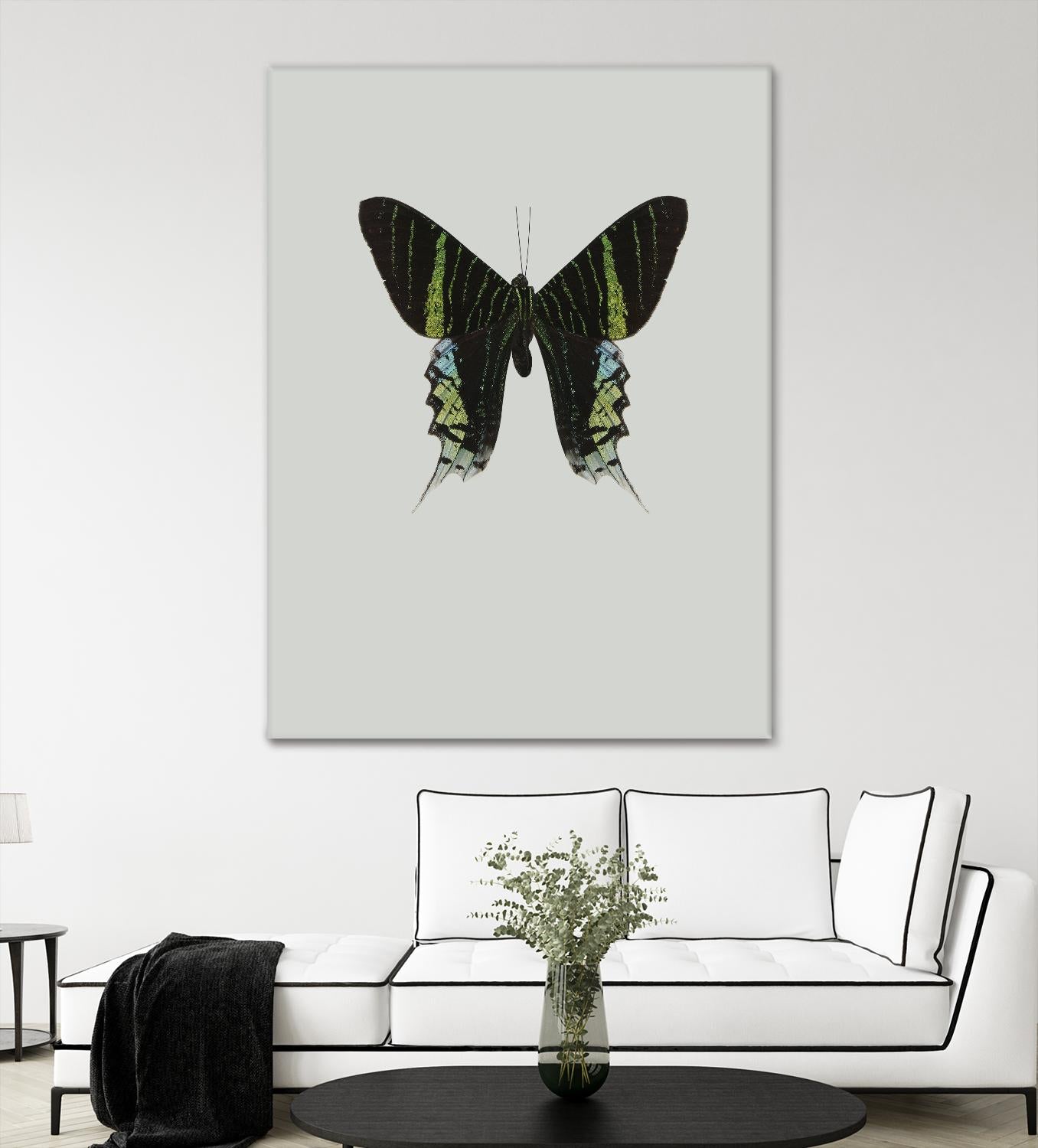 Green butterfly by Incado on GIANT ART - multicolor animals; floral/still life