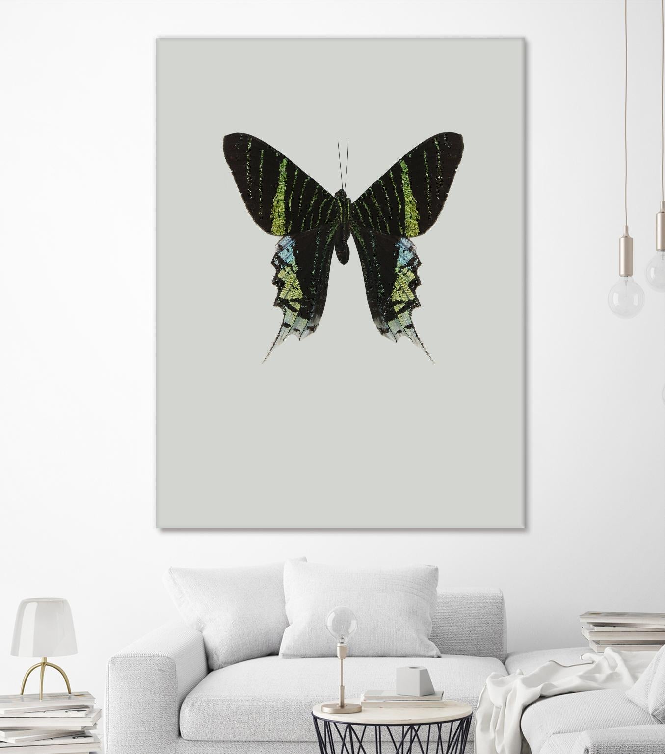 Green butterfly by Incado on GIANT ART - multicolor animals; floral/still life