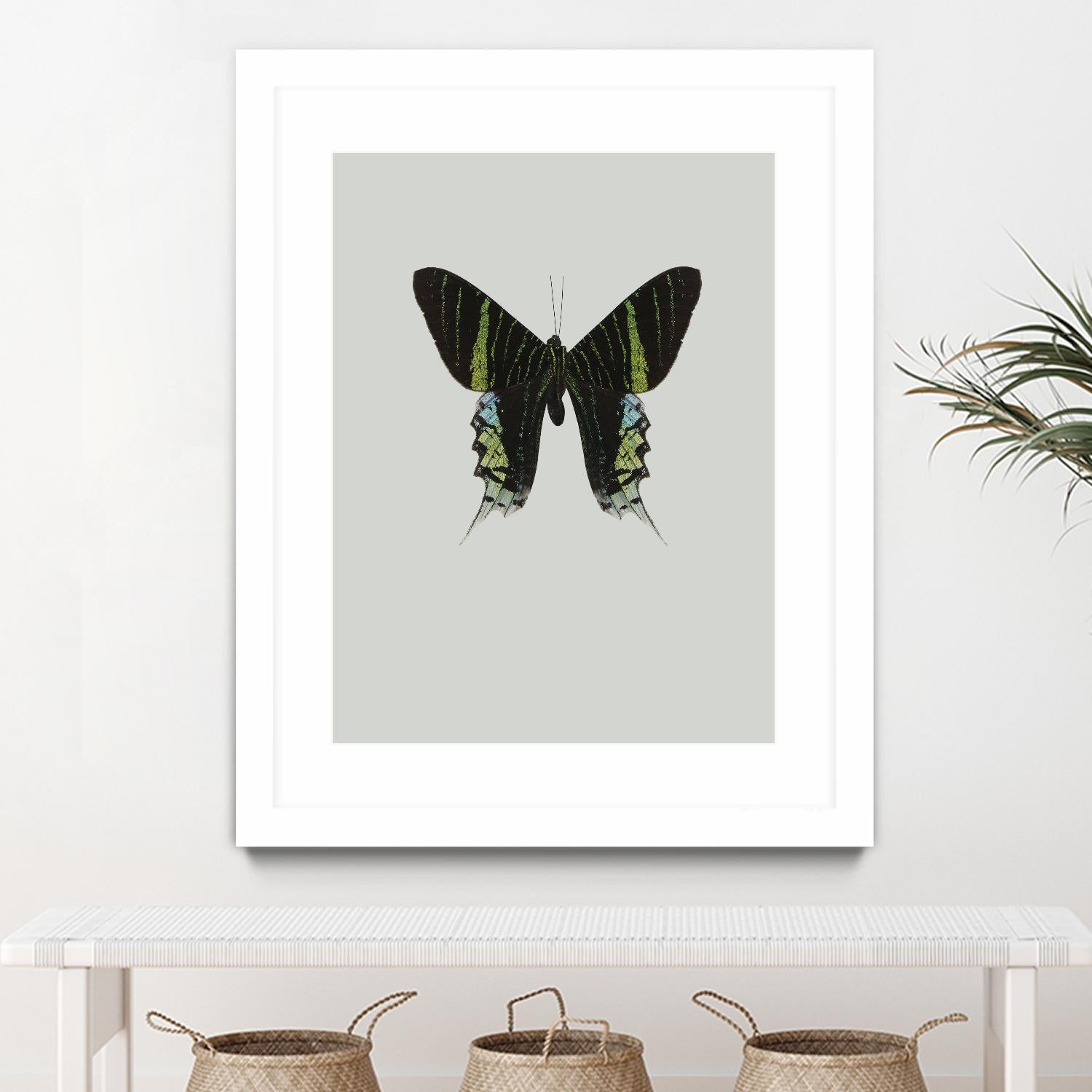 Green butterfly by Incado on GIANT ART - multicolor animals; floral/still life