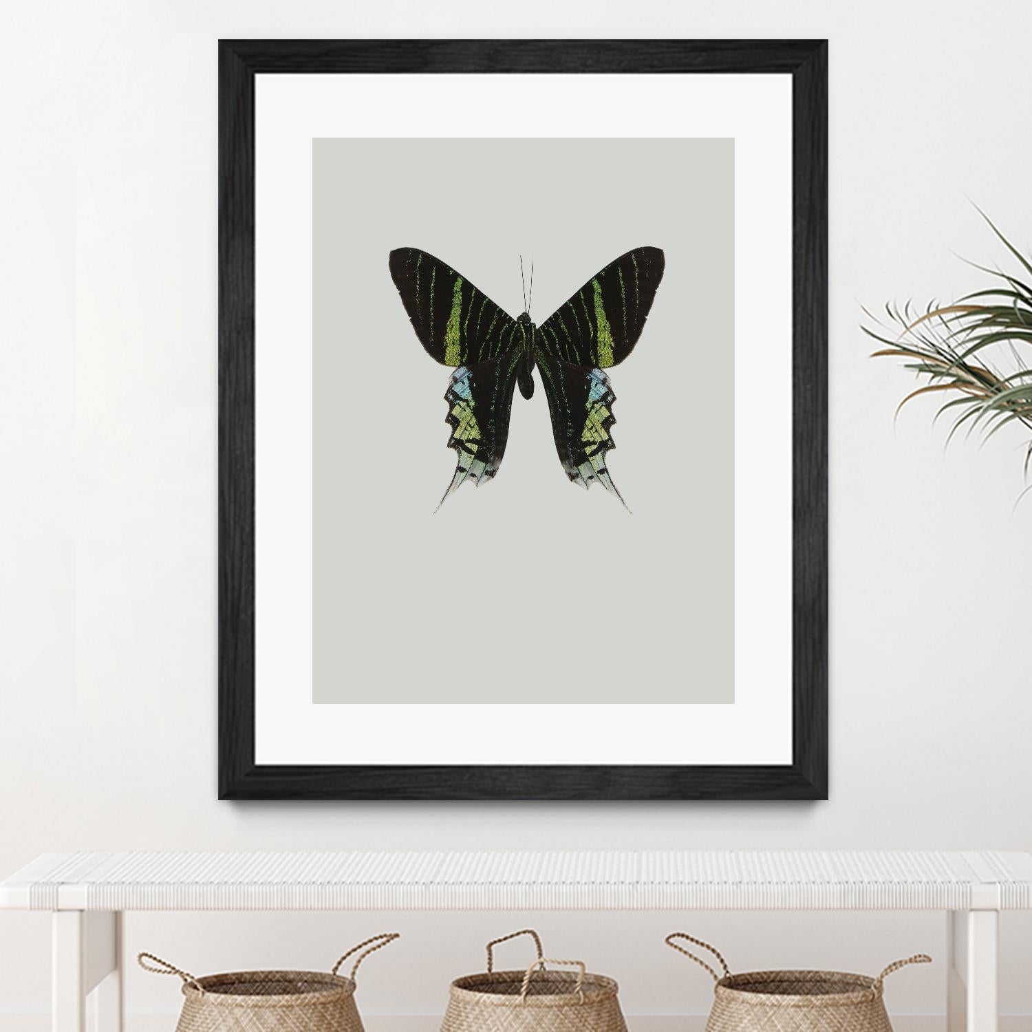Green butterfly by Incado on GIANT ART - multicolor animals; floral/still life