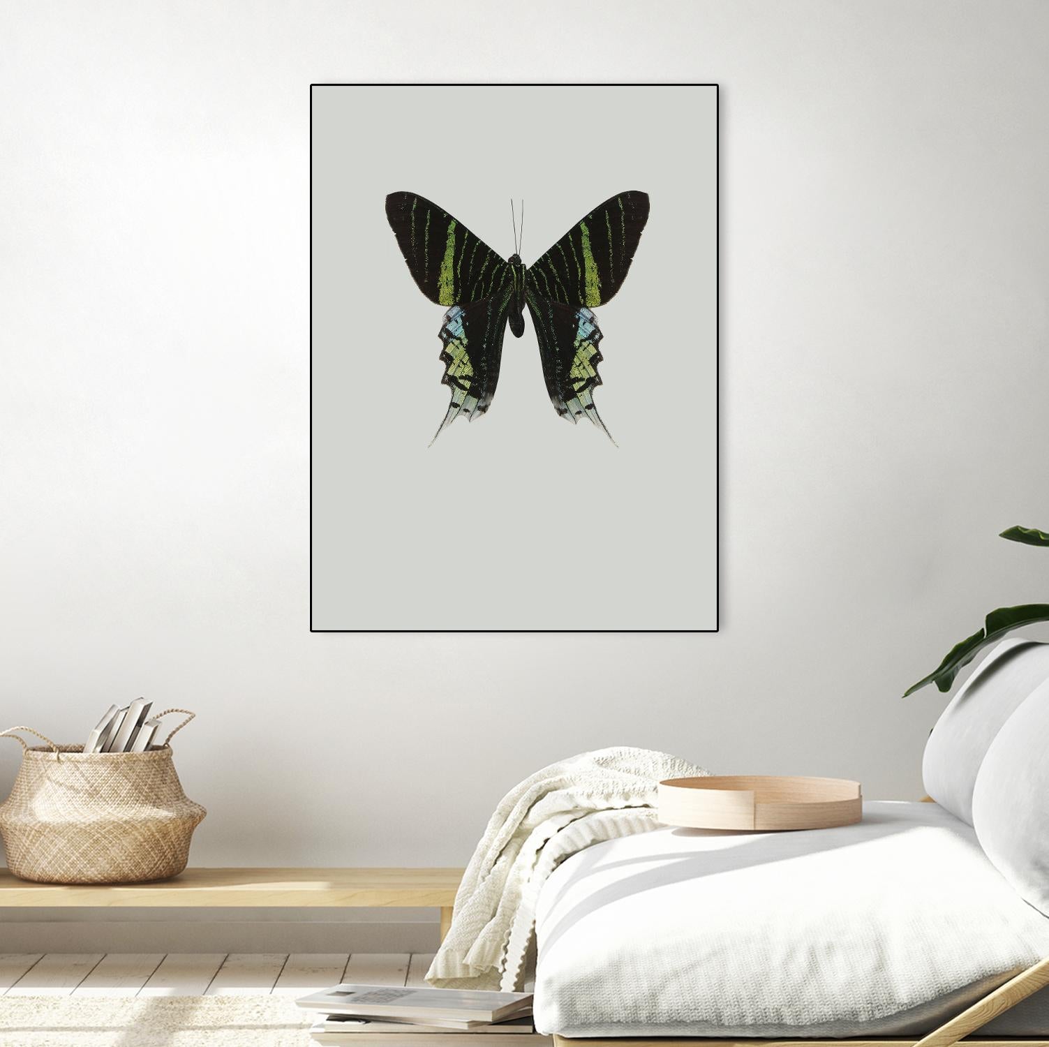 Green butterfly by Incado on GIANT ART - multicolor animals; floral/still life