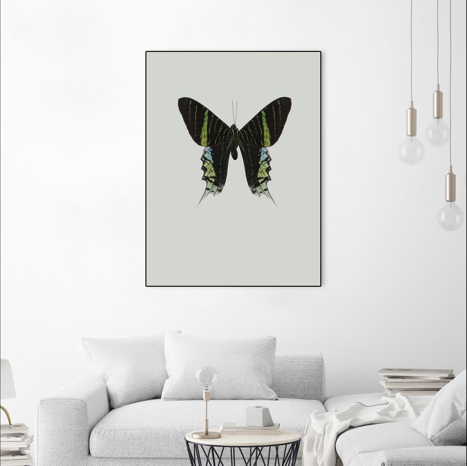 Green butterfly by Incado on GIANT ART - multicolor animals; floral/still life
