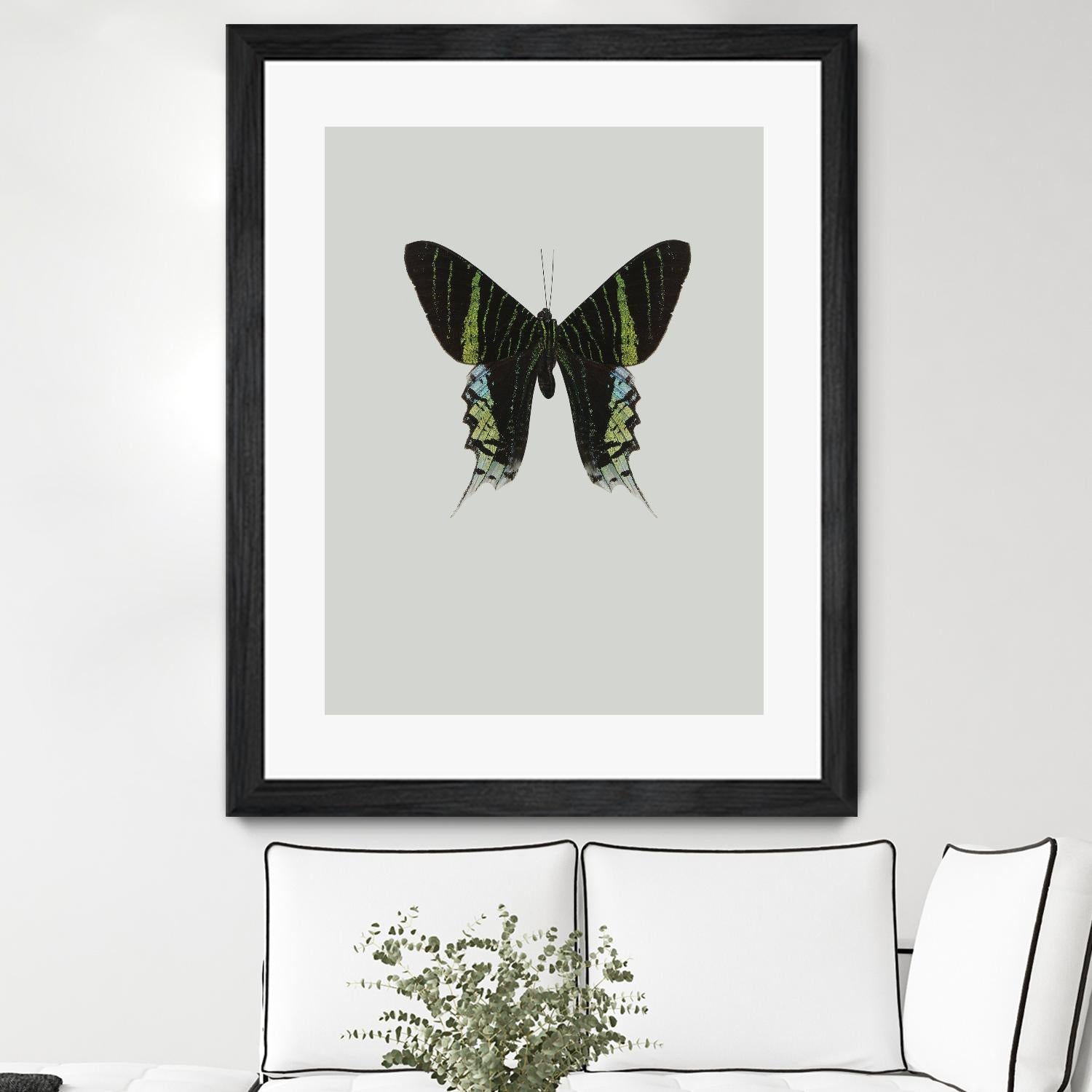 Green butterfly by Incado on GIANT ART - multicolor animals; floral/still life