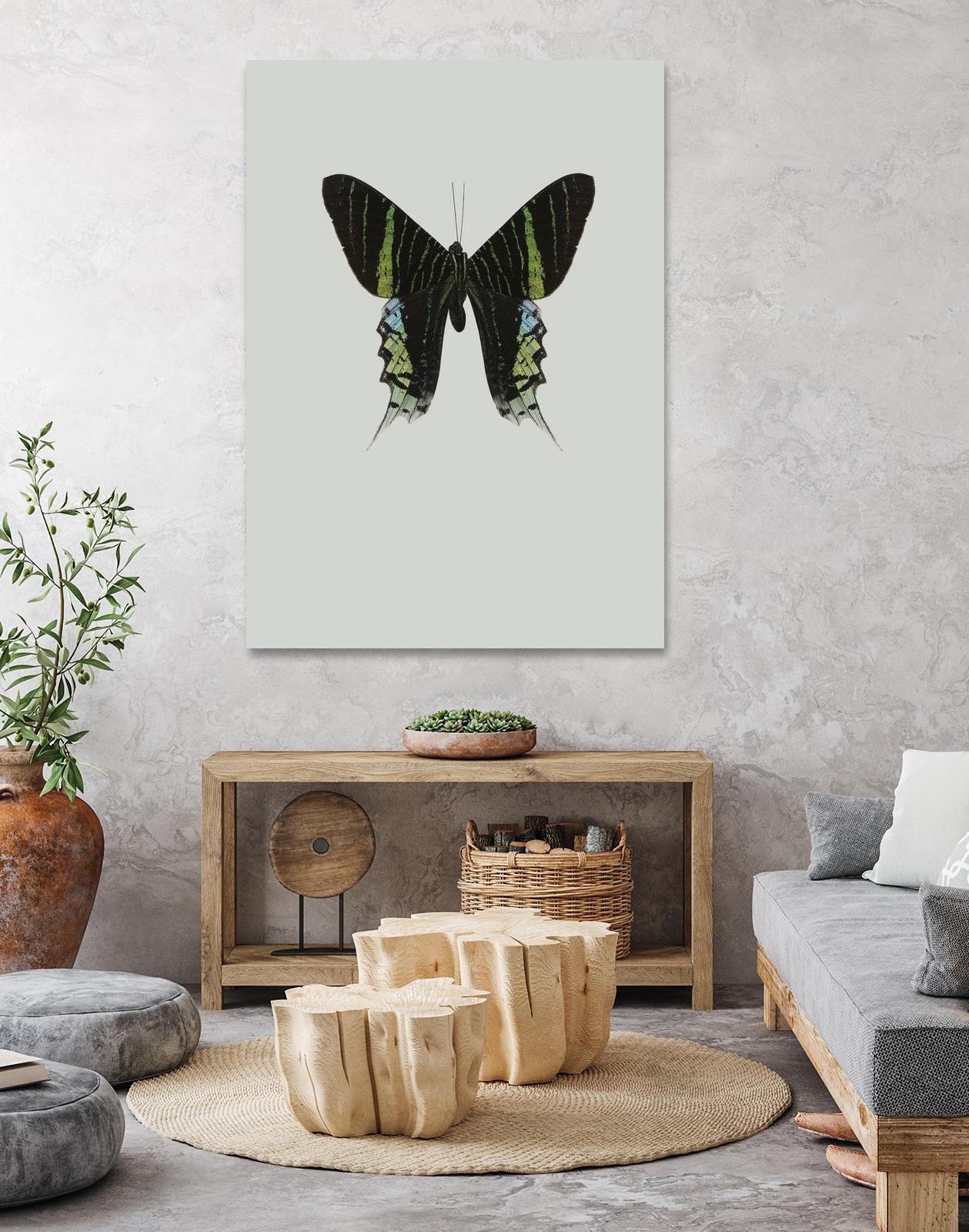 Green butterfly by Incado on GIANT ART - multicolor animals; floral/still life