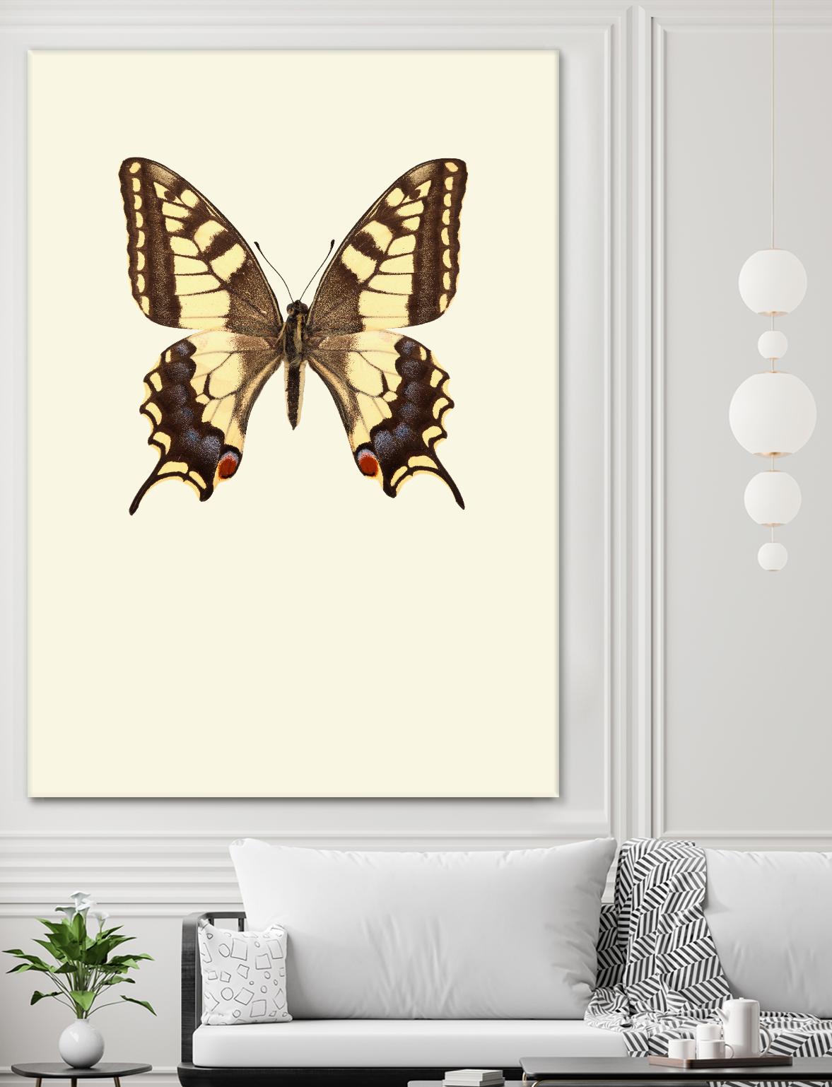 Papilio machaon by Incado on GIANT ART - multicolor animals; floral/still life