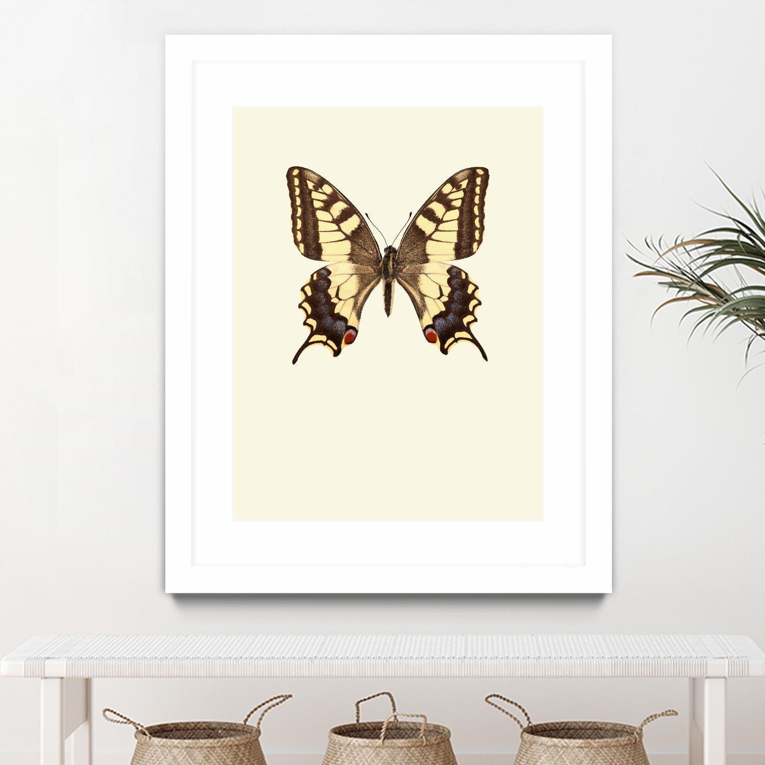 Papilio machaon by Incado on GIANT ART - multicolor animals; floral/still life