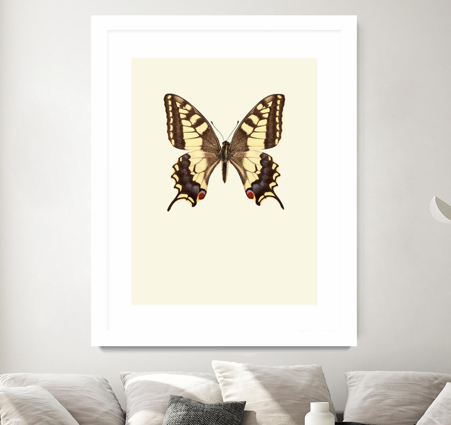 Papilio machaon by Incado on GIANT ART - multicolor animals; floral/still life