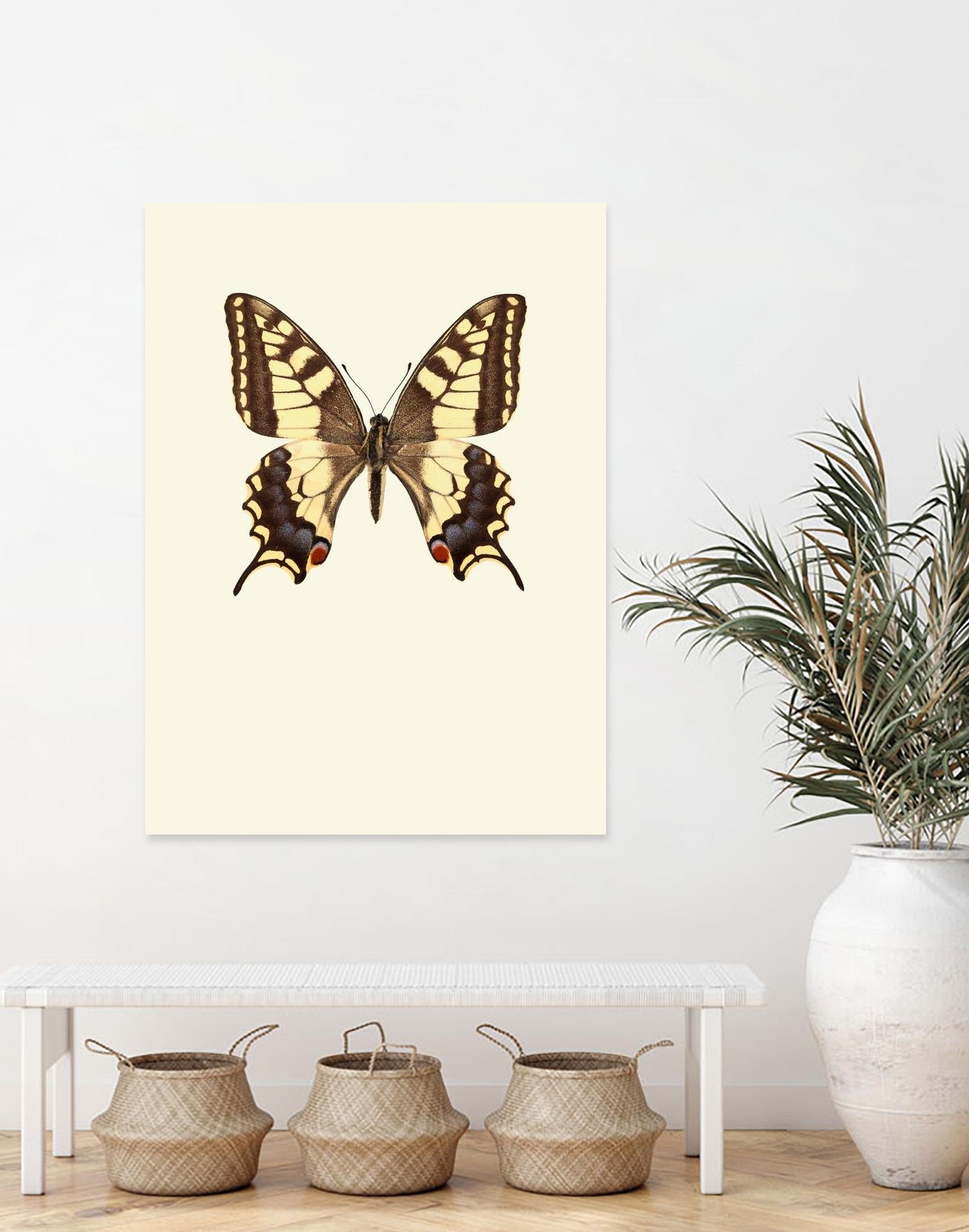 Papilio machaon by Incado on GIANT ART - multicolor animals; floral/still life