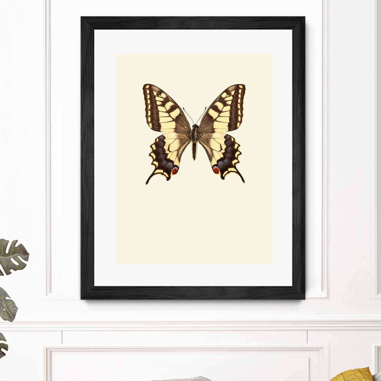 Papilio machaon by Incado on GIANT ART - multicolor animals; floral/still life
