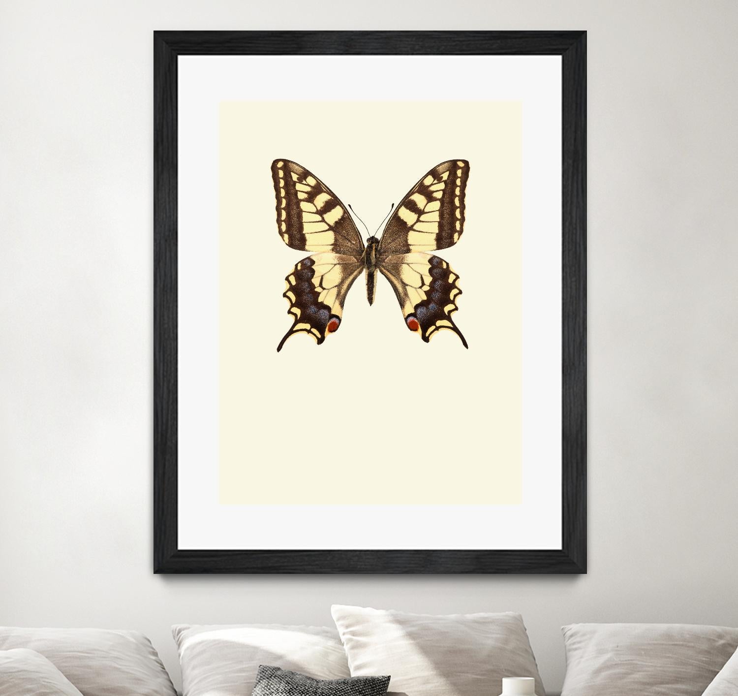 Papilio machaon by Incado on GIANT ART - multicolor animals; floral/still life