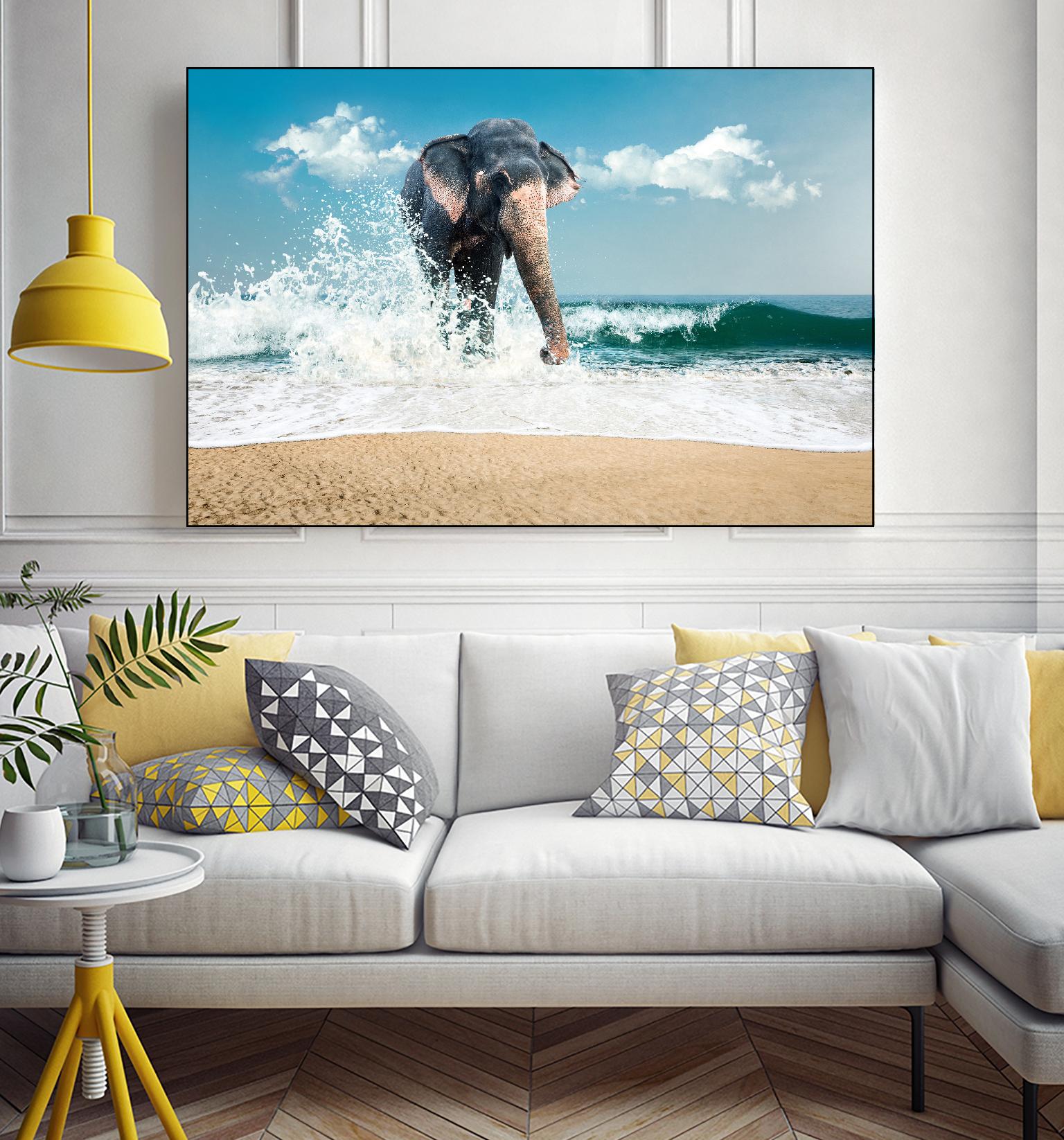 Elephant by PhotoINC Studio on GIANT ART - multicolor photography; animals