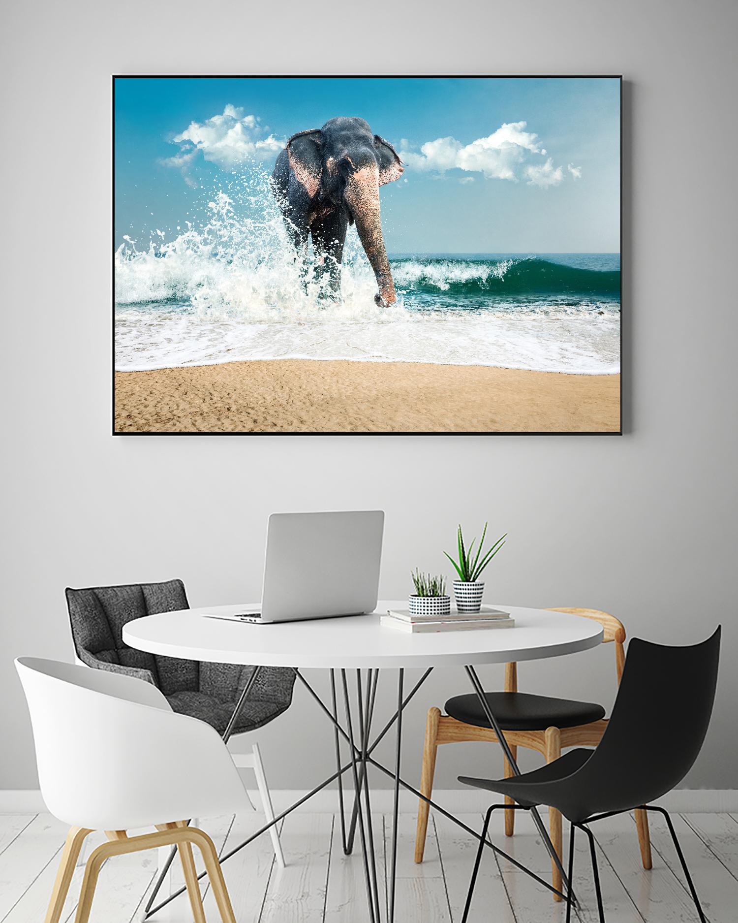 Elephant by PhotoINC Studio on GIANT ART - multicolor photography; animals