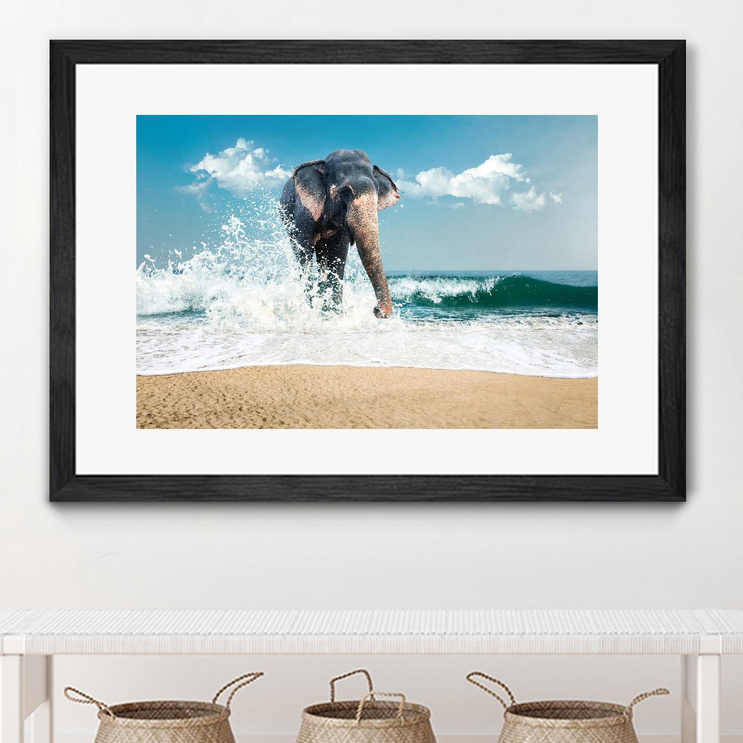 Elephant by PhotoINC Studio on GIANT ART - multicolor photography; animals