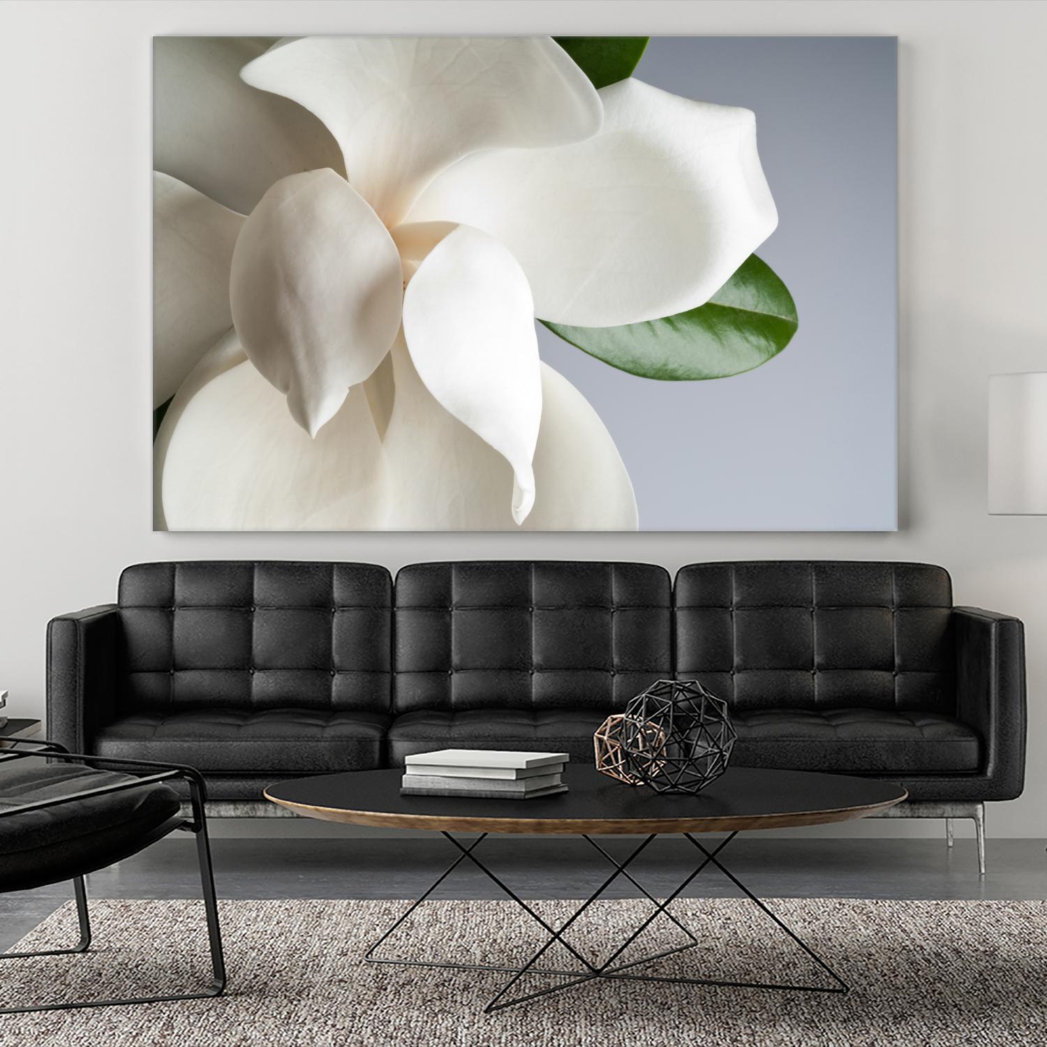 Magnolia by PhotoINC Studio on GIANT ART - multicolor photography; floral/still life