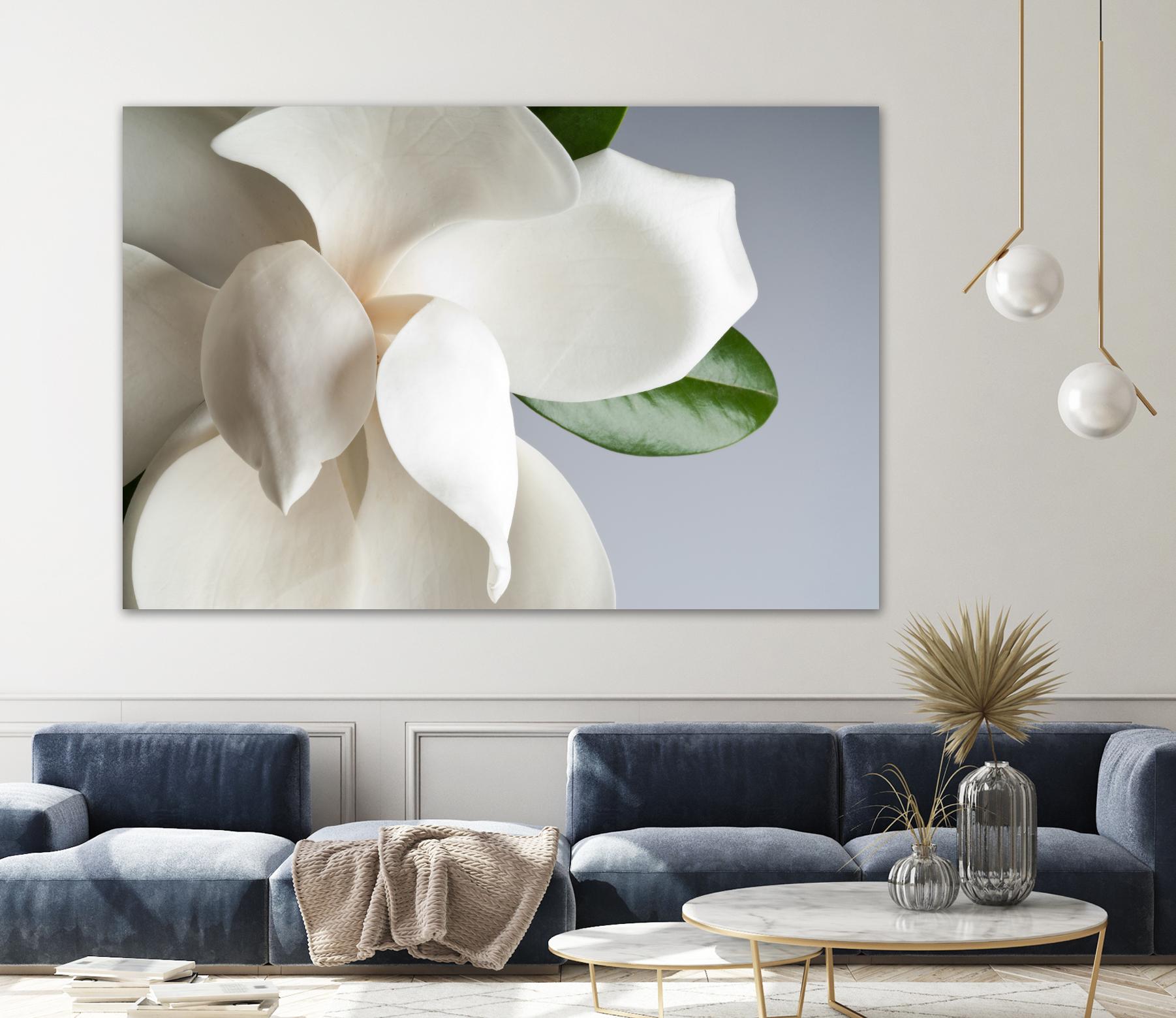 Magnolia by PhotoINC Studio on GIANT ART - multicolor photography; floral/still life