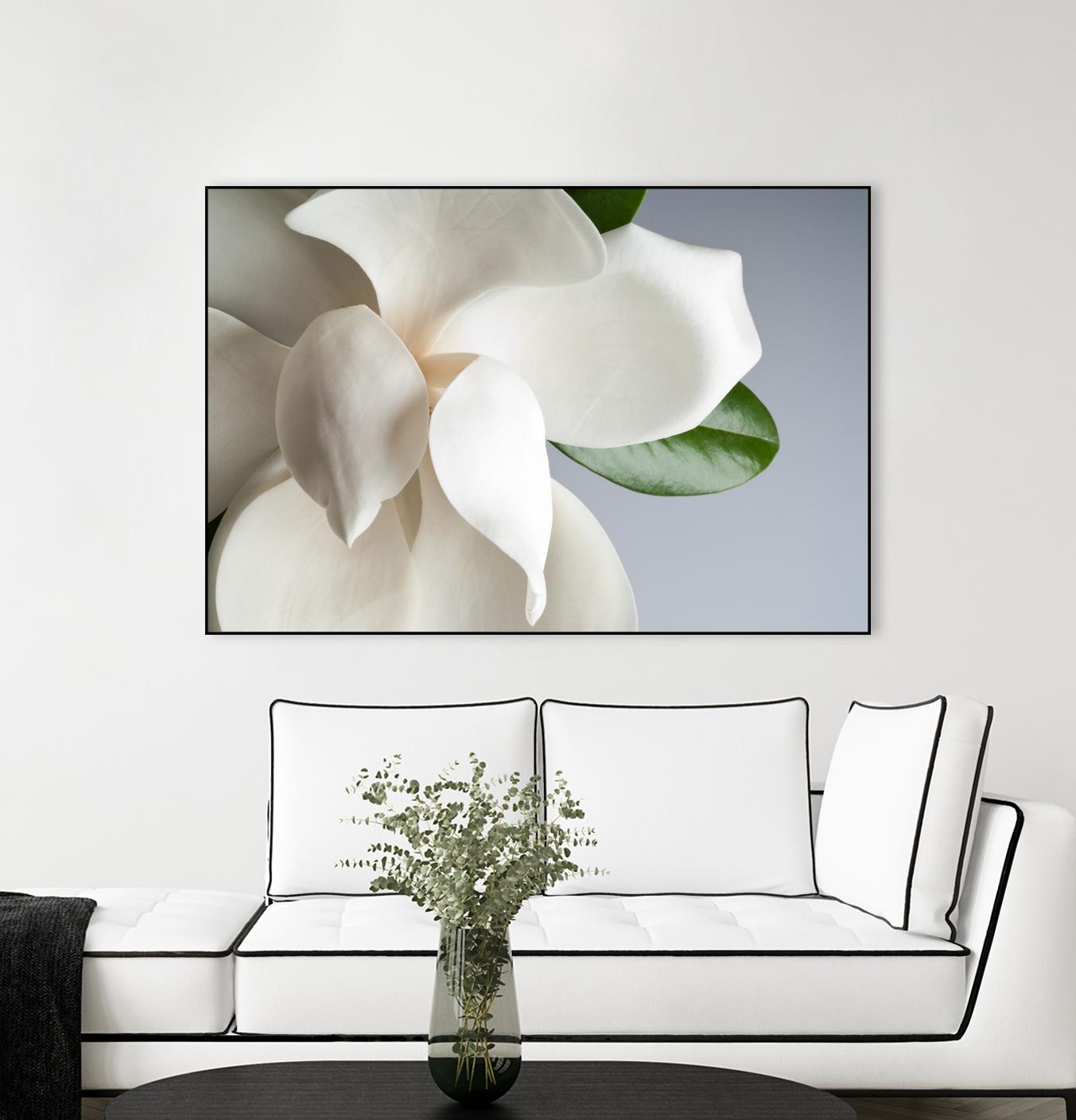 Magnolia by PhotoINC Studio on GIANT ART - multicolor photography; floral/still life