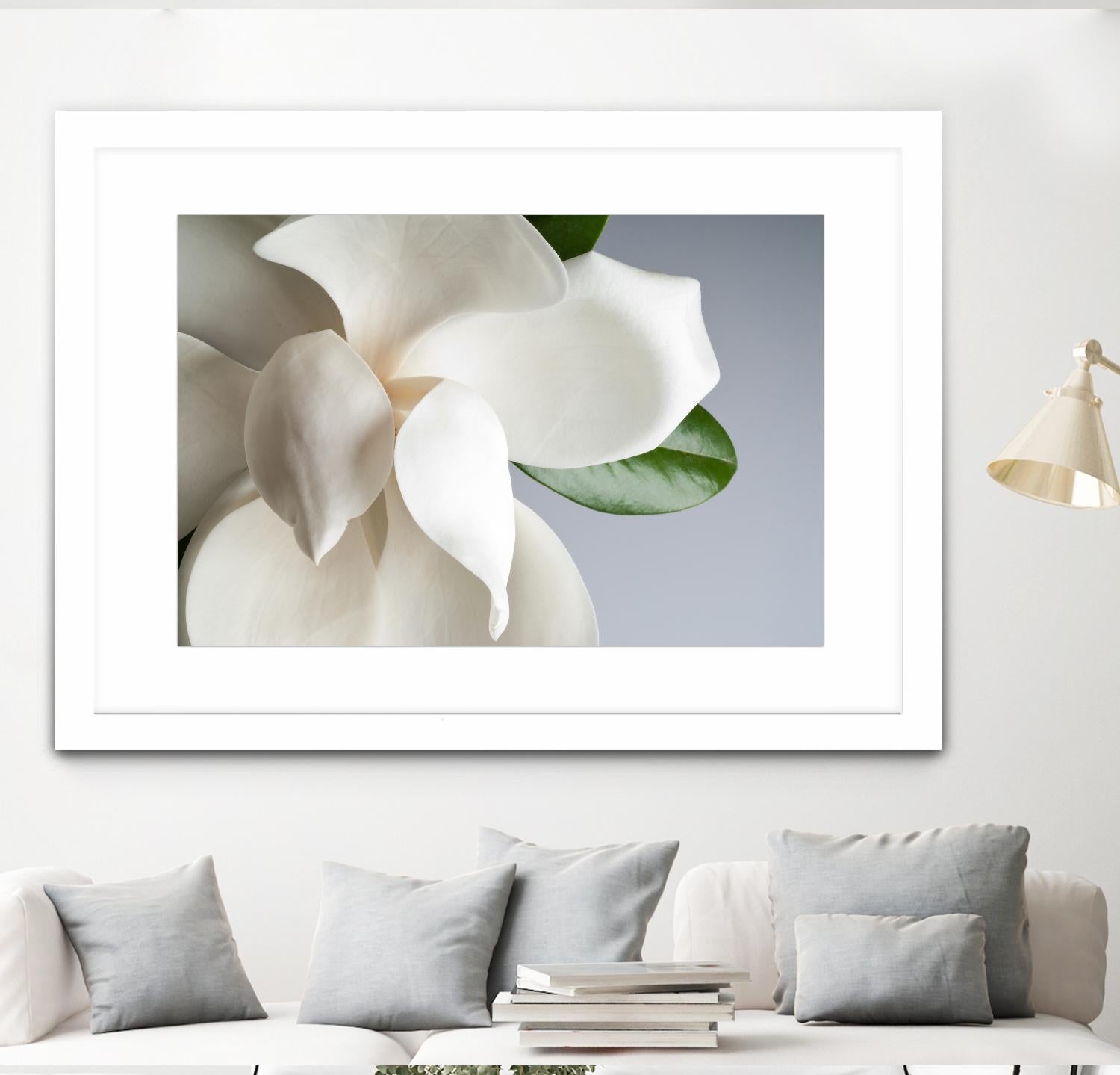 Magnolia by PhotoINC Studio on GIANT ART - multicolor photography; floral/still life