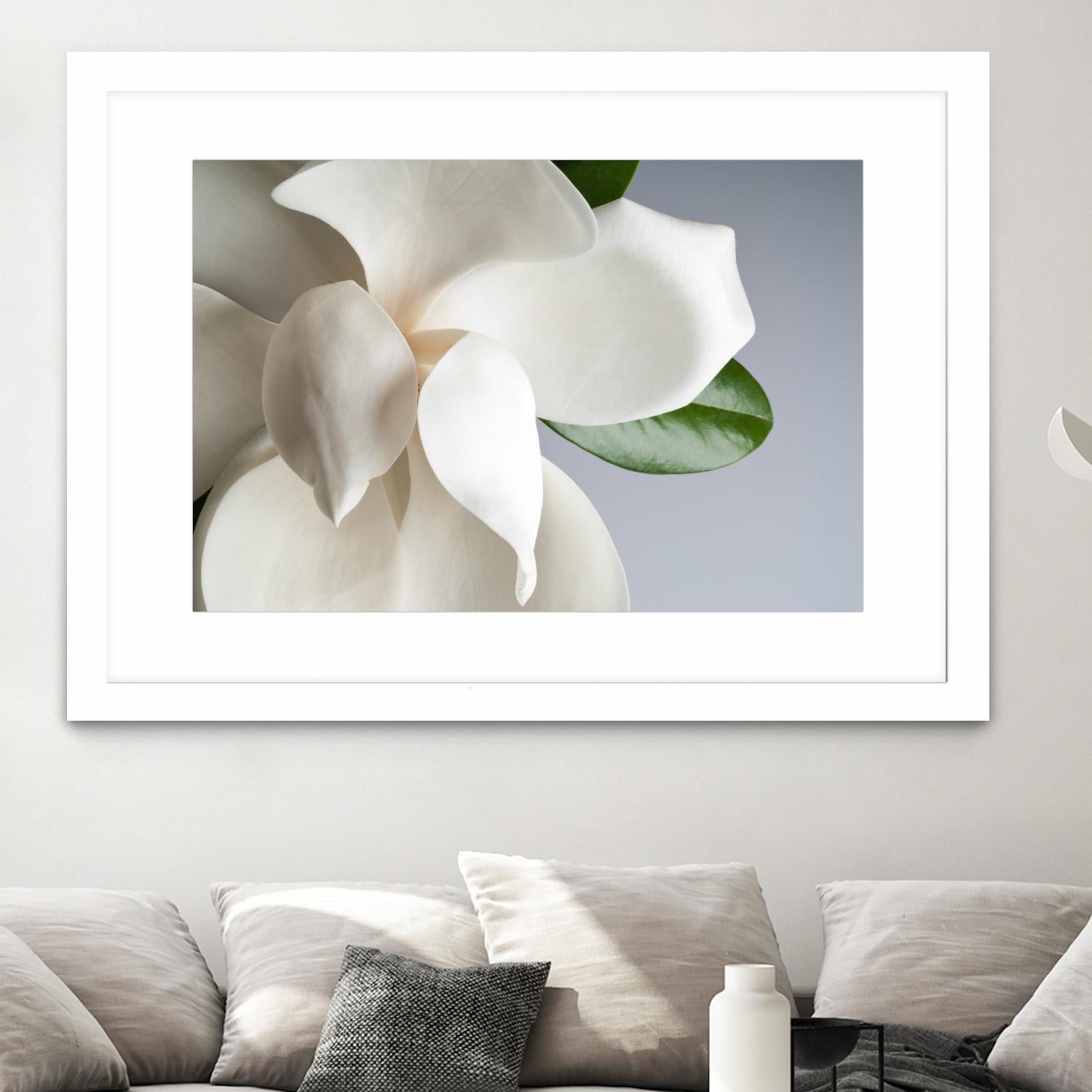 Magnolia by PhotoINC Studio on GIANT ART - multicolor photography; floral/still life