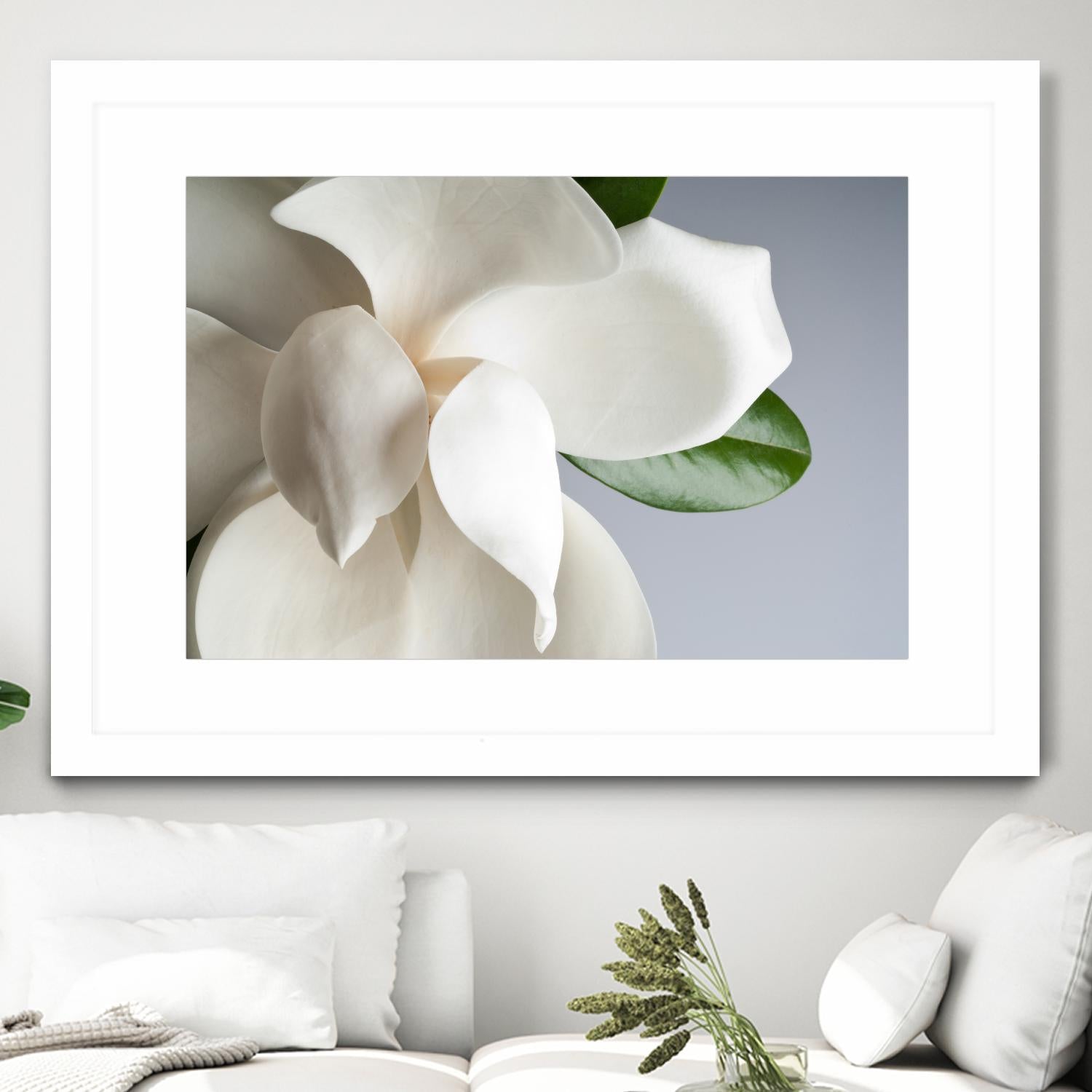 Magnolia by PhotoINC Studio on GIANT ART - multicolor photography; floral/still life