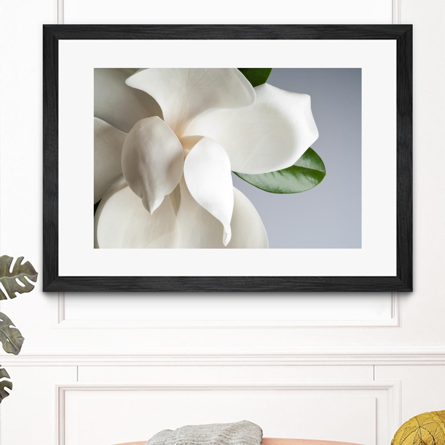 Magnolia by PhotoINC Studio on GIANT ART - multicolor photography; floral/still life