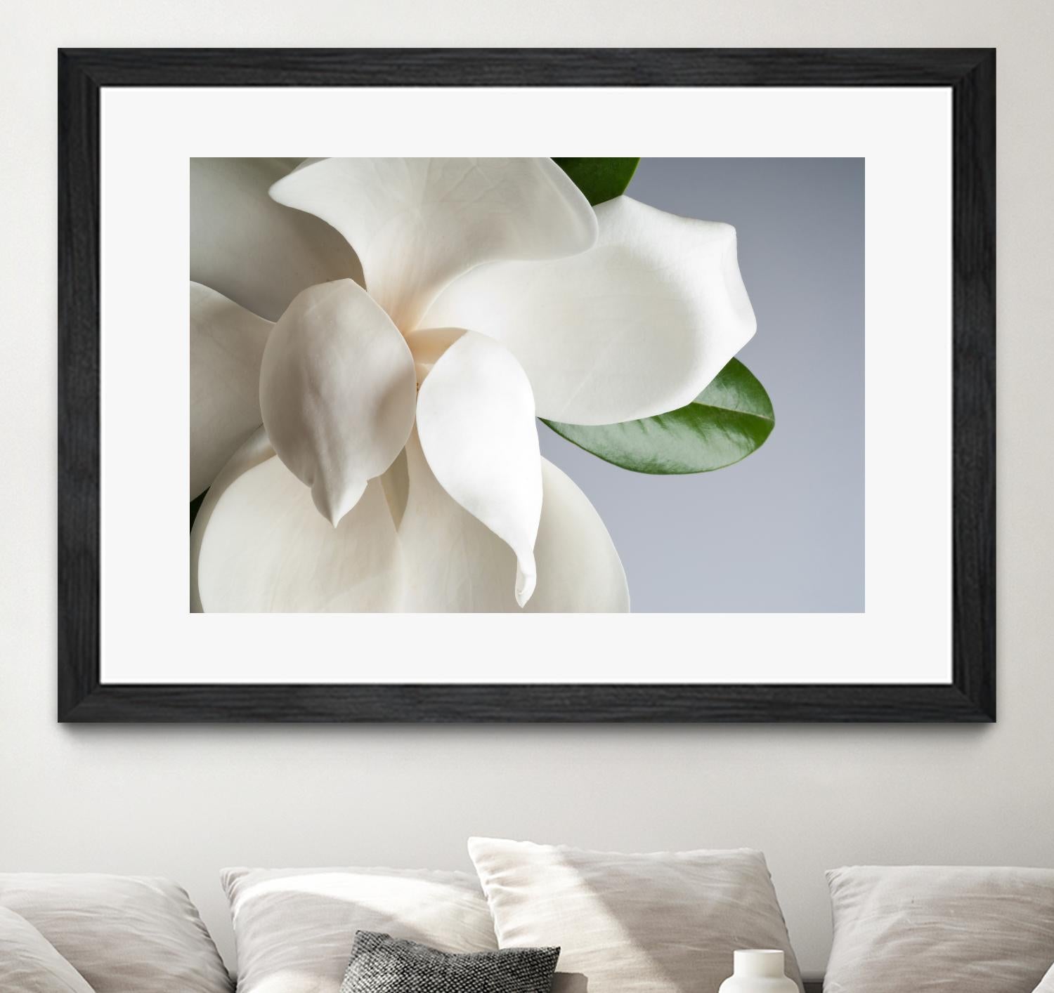 Magnolia by PhotoINC Studio on GIANT ART - multicolor photography; floral/still life