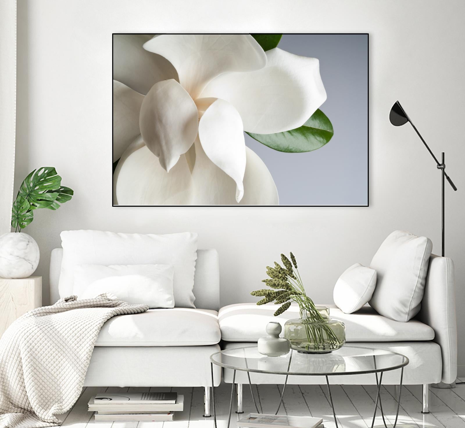 Magnolia by PhotoINC Studio on GIANT ART - multicolor photography; floral/still life